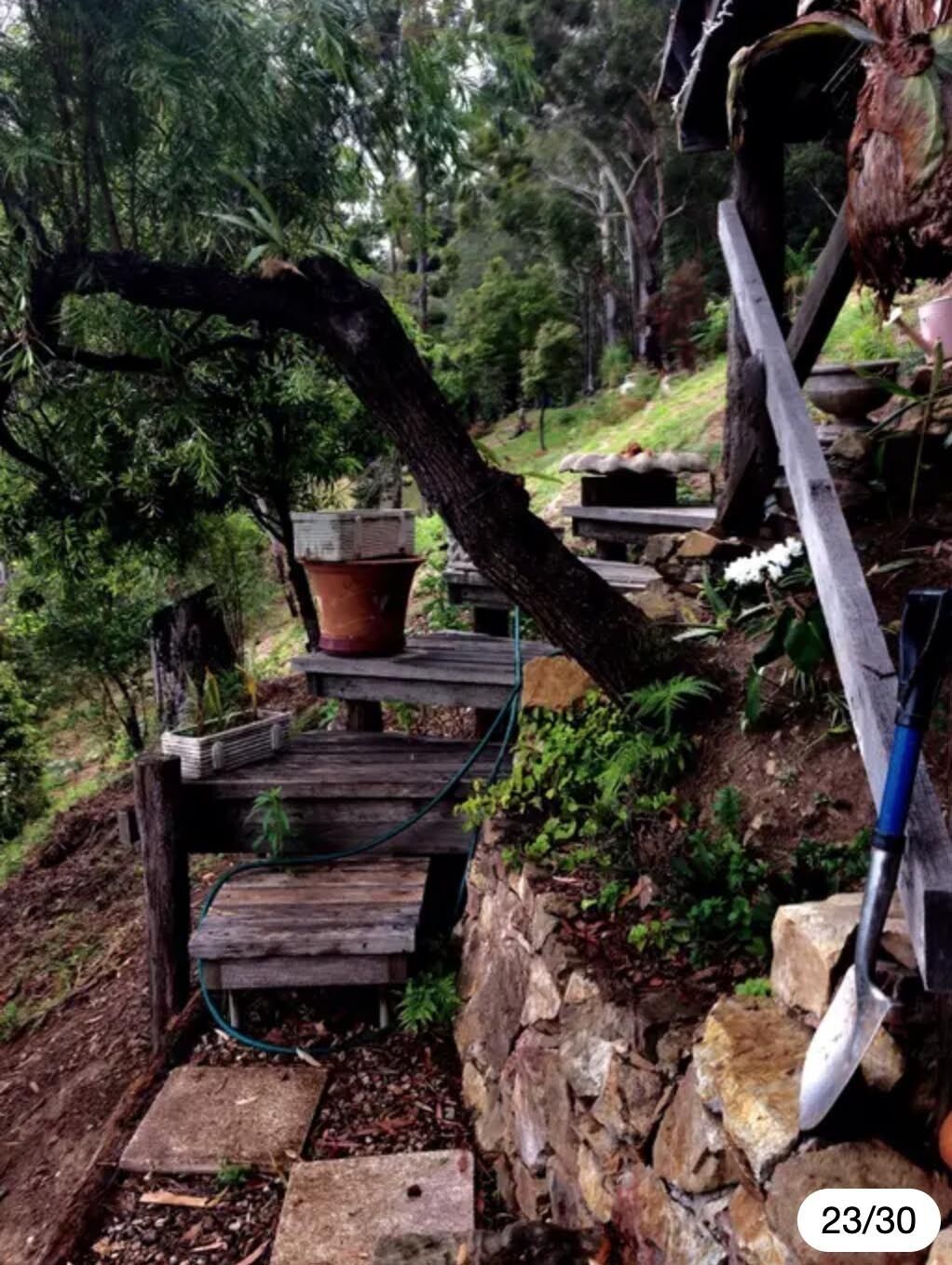 The Treepod-wake up to the Sunrise with views over valley to the Ocean