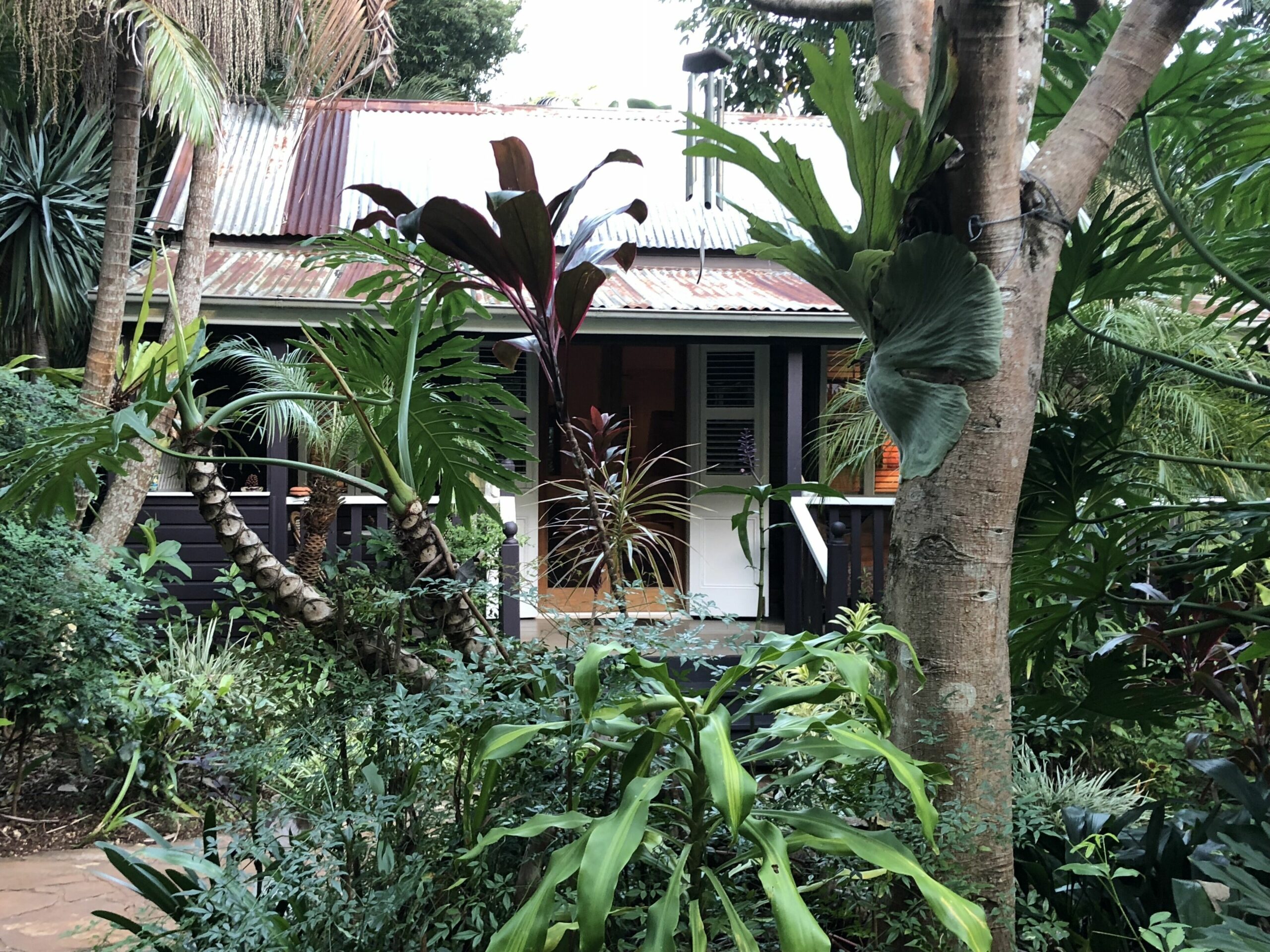 Coco's Cottage in the Byron Bay Hinterland ~ Refresh ~ Relax ~ Rejuvenate