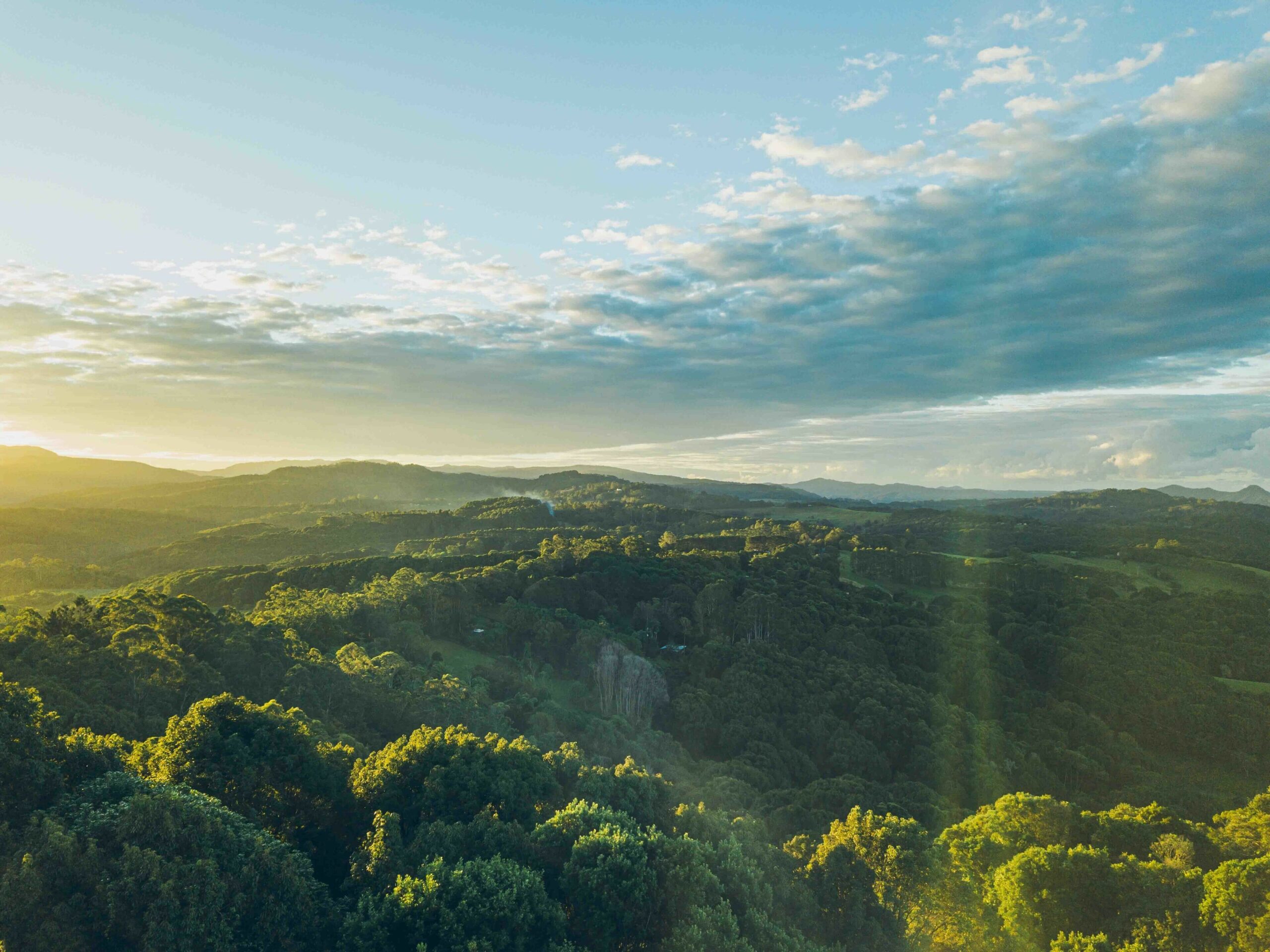 Luxury Byron Bay Hinterland Retreat