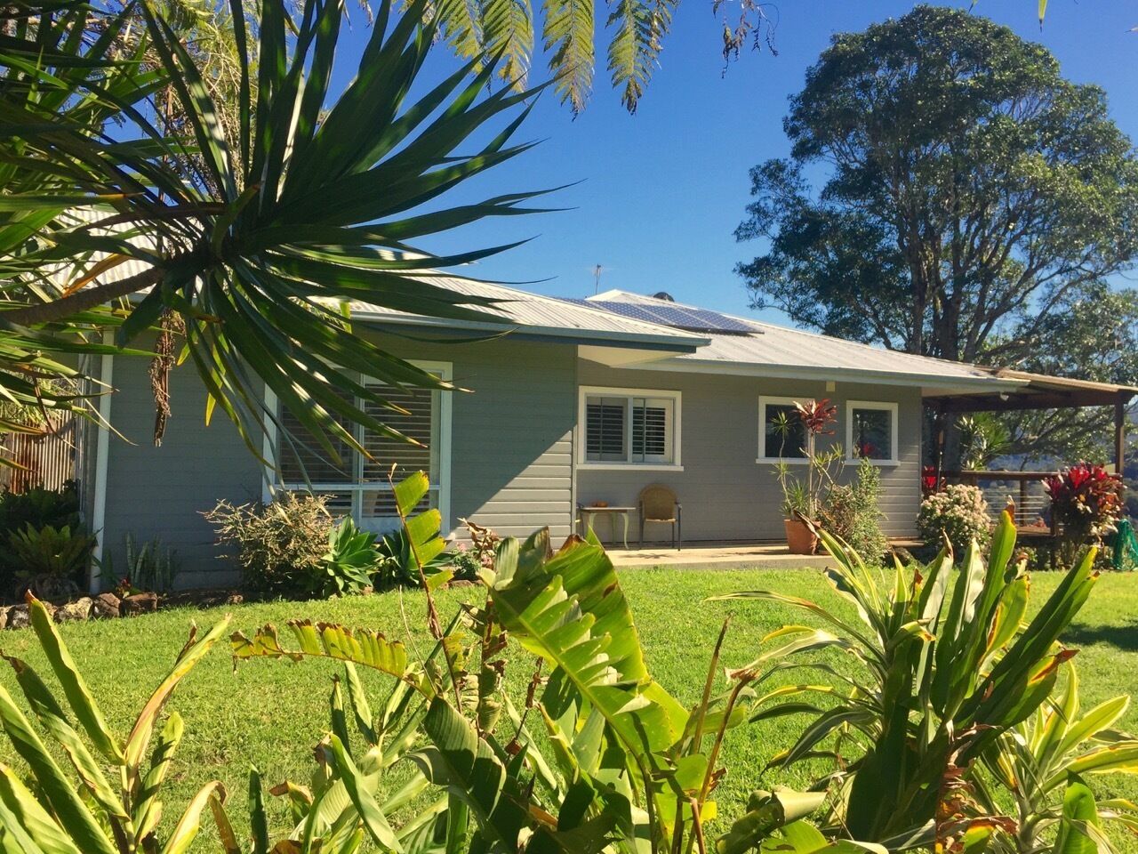 Byron Hinterland Farm Cottage on Cattle property