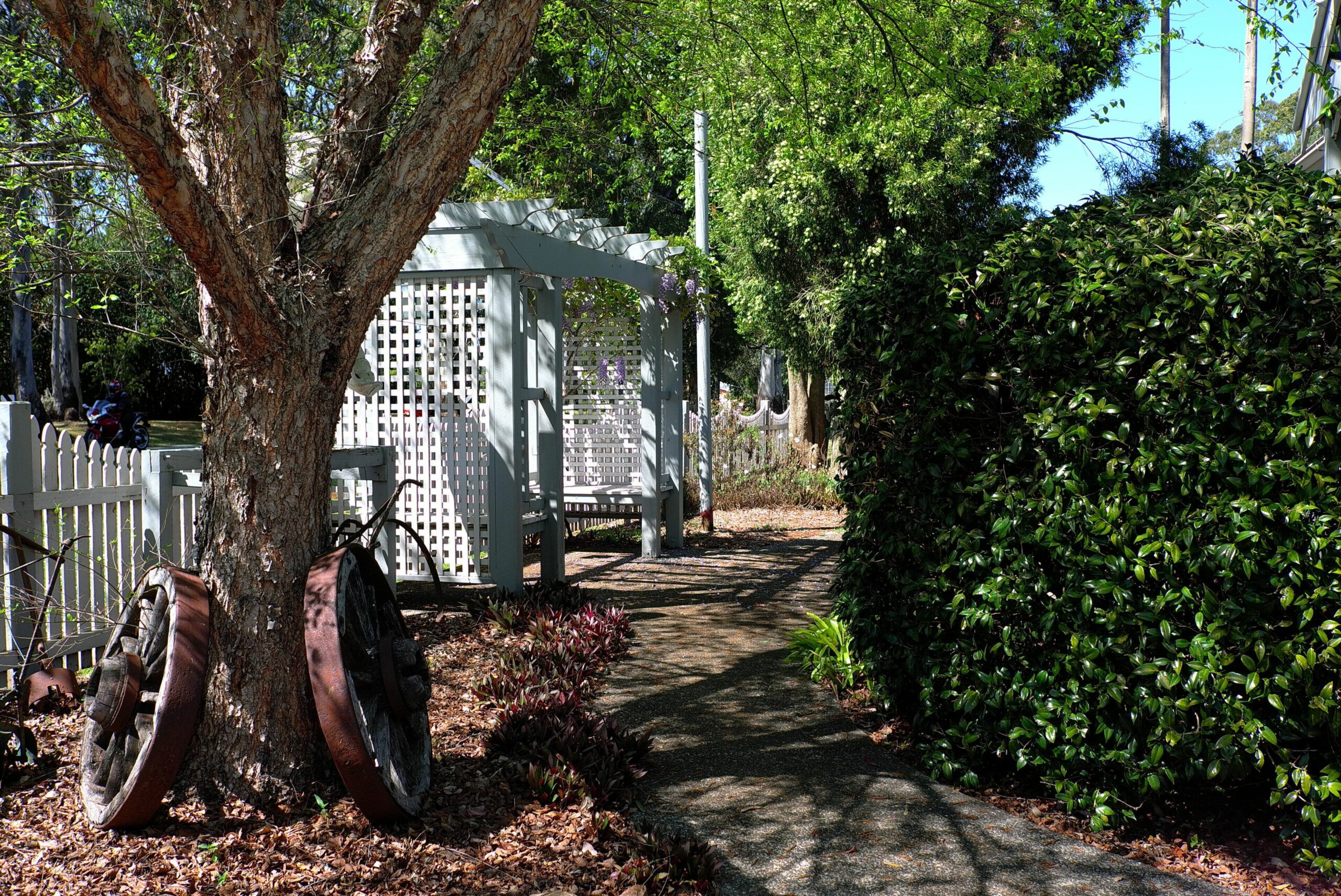 Wisteria Cottage in the heart of Mount Tamborine - dog and cat friendly