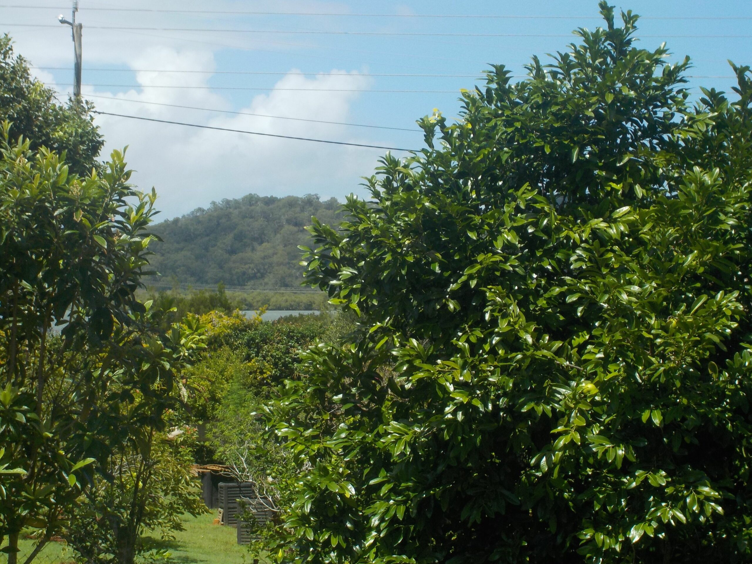 Bethsaida Cottage on Russell Island