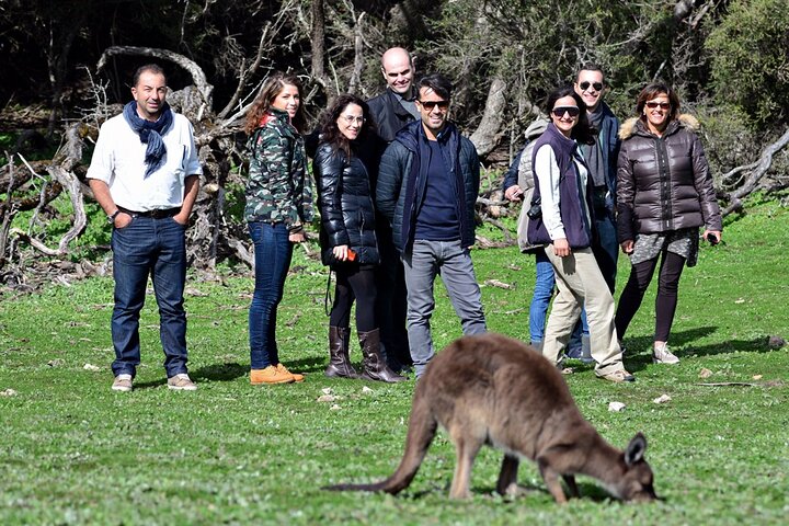 Full day Seal Bay Experience departing from Kangaroo Island