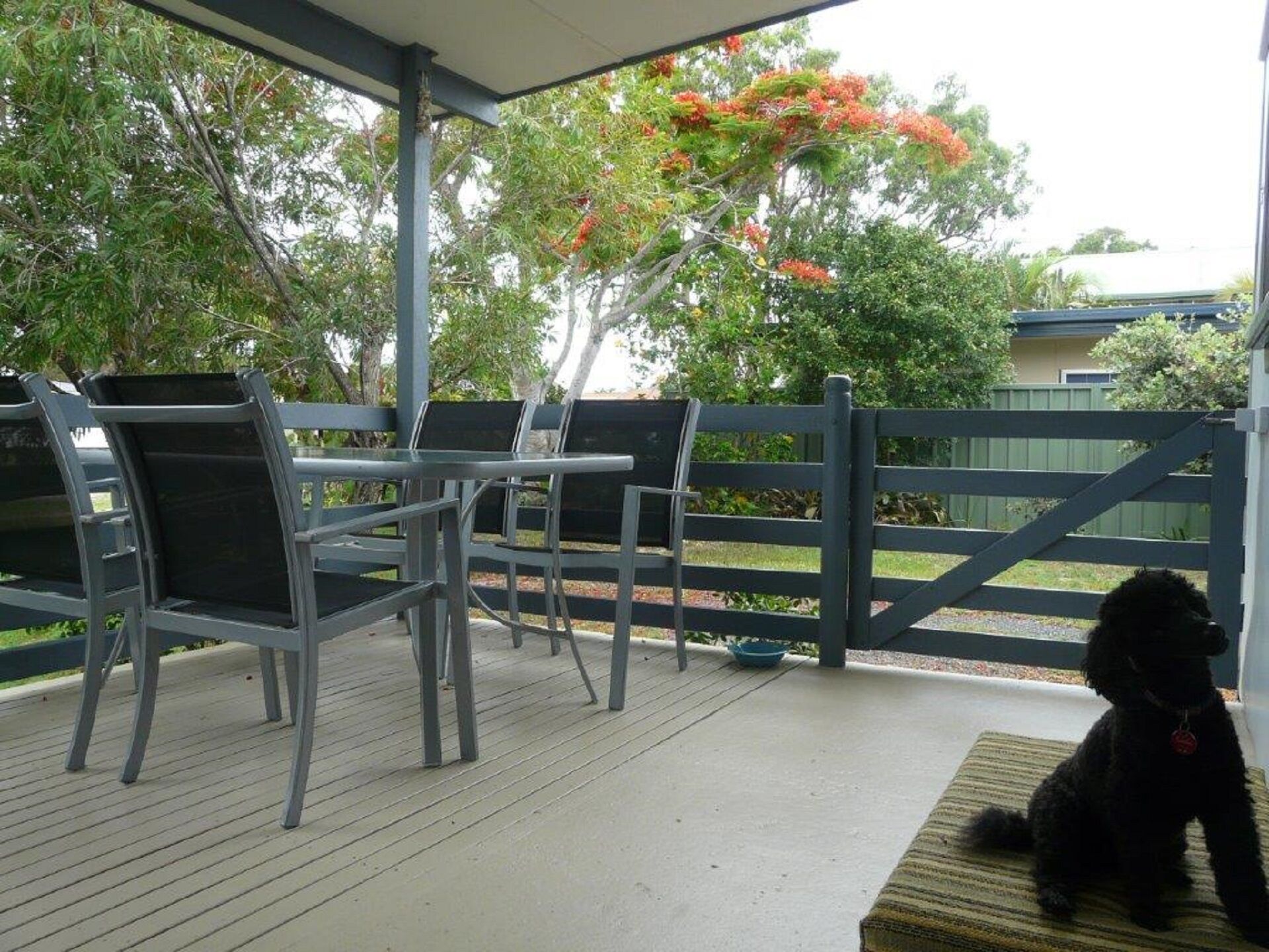 Iluka Cottage Pet Friendly