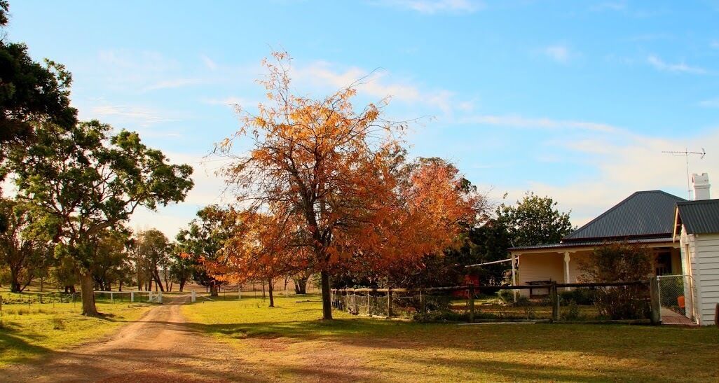 Oakhurst Cottage Farmstay