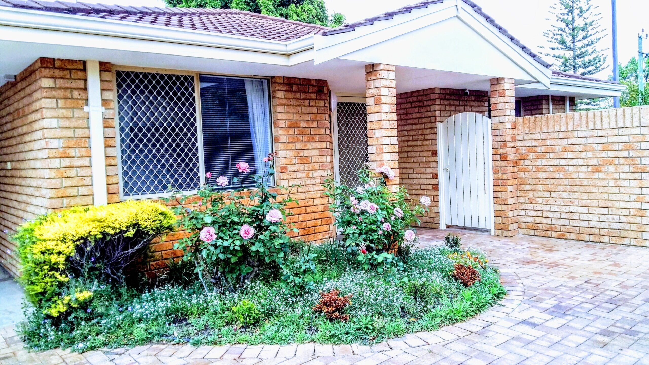 Camelias Boutique Cottage in Dianella