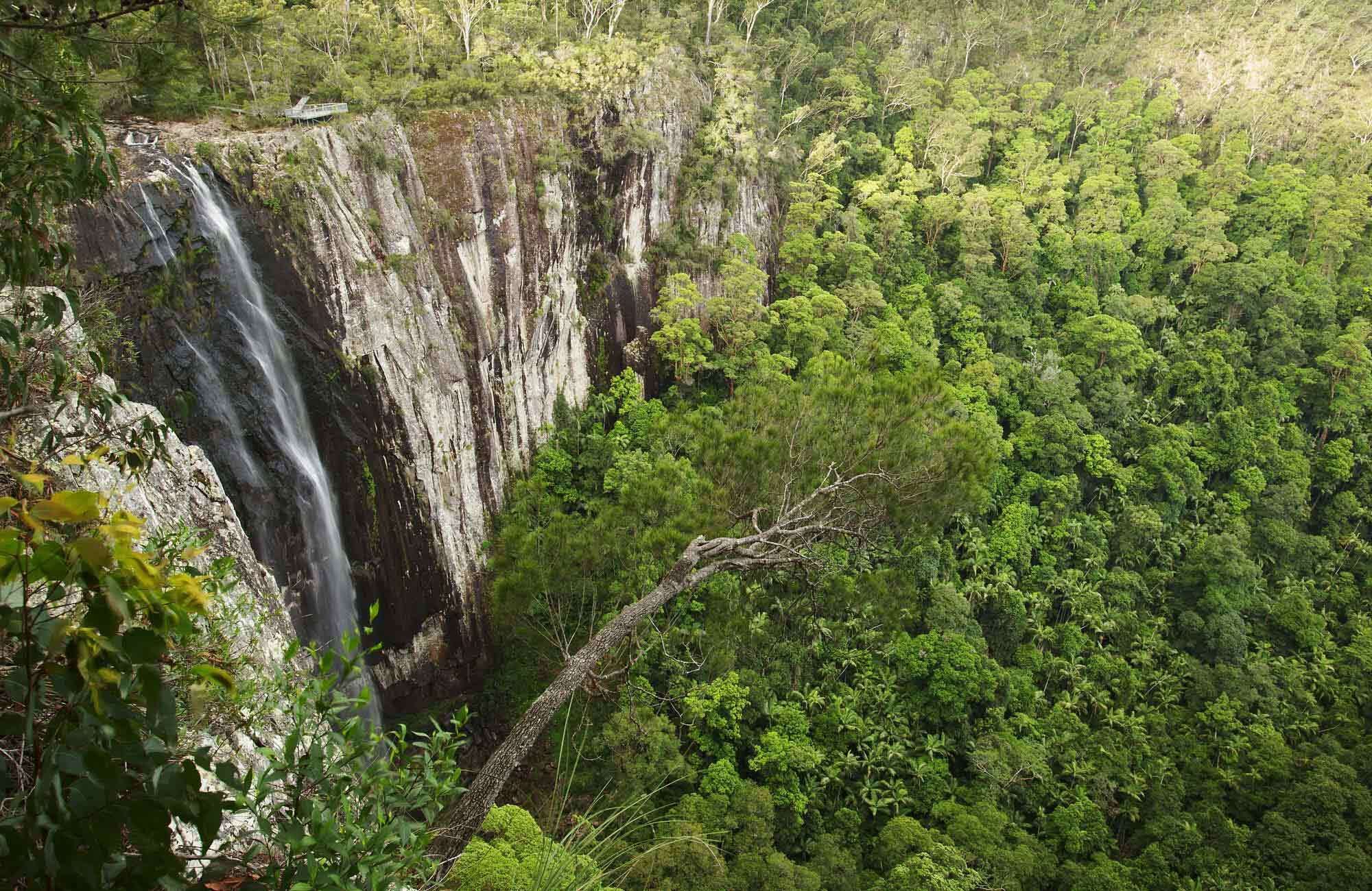 Secluded Treetop Cabin - Uki/Mt Warning