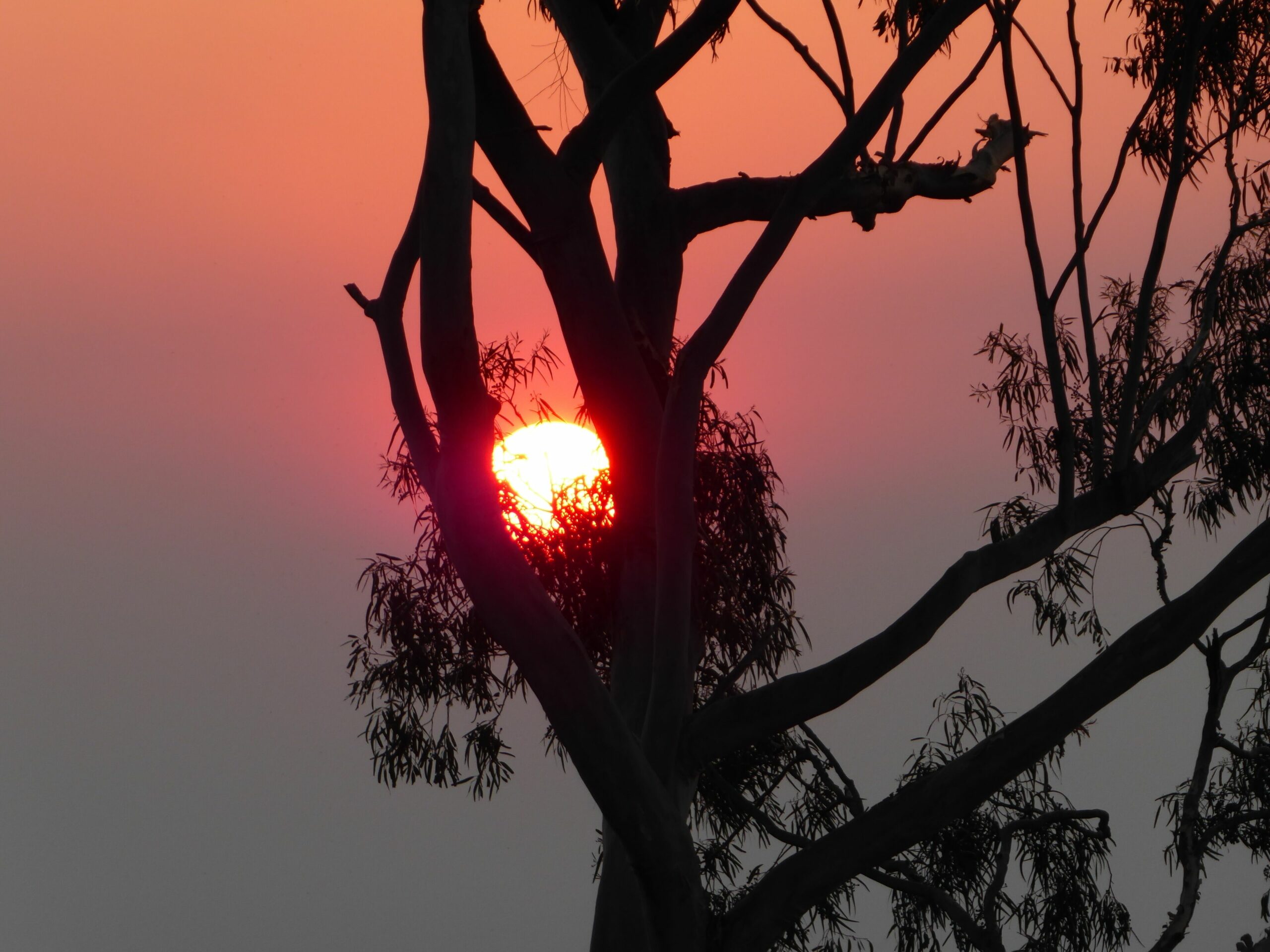 Tibooburra Bed & Breakfast Perth Hills WA