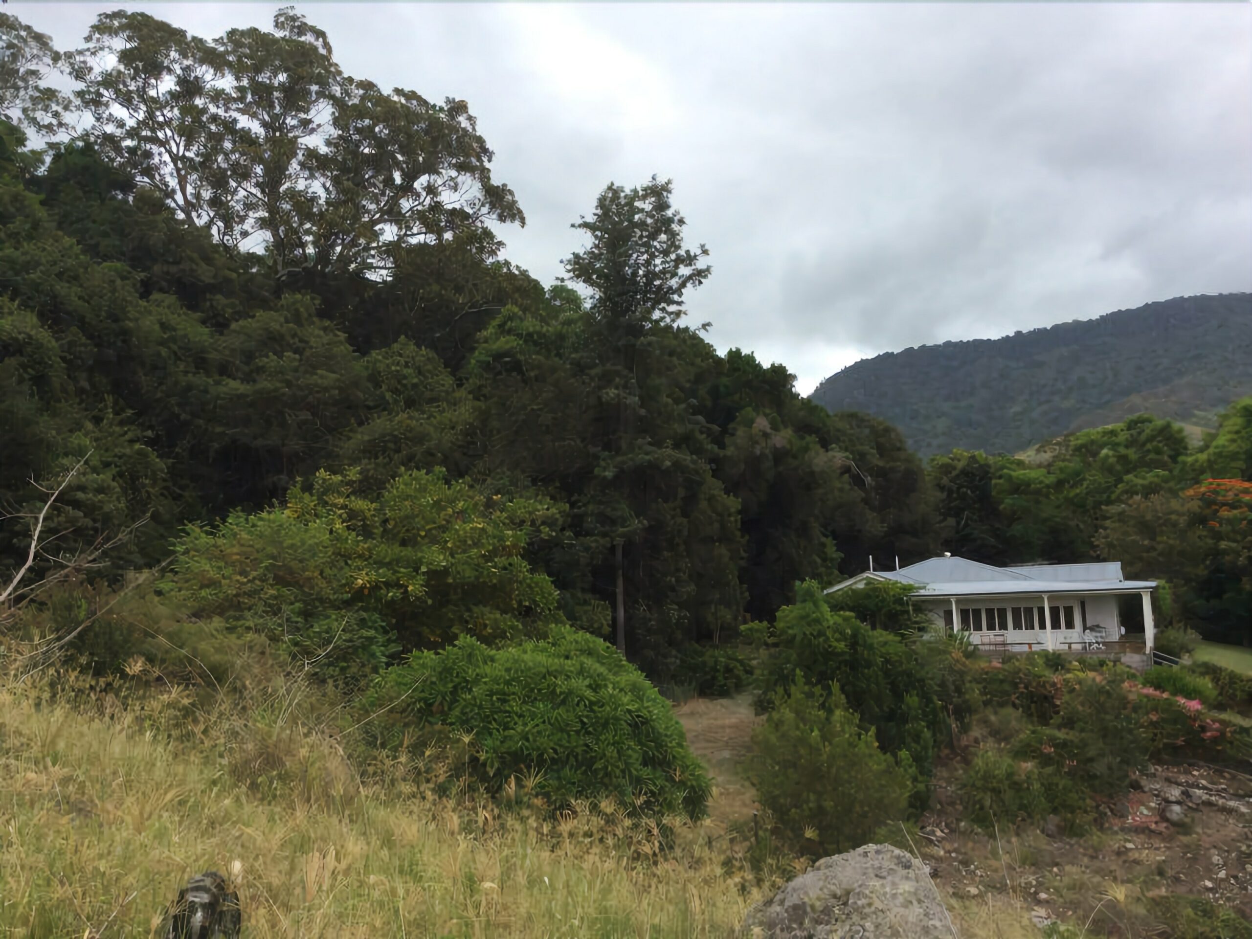 Beaumont High Country Homestead - Peaceful Getaway on a Working Cattle Property