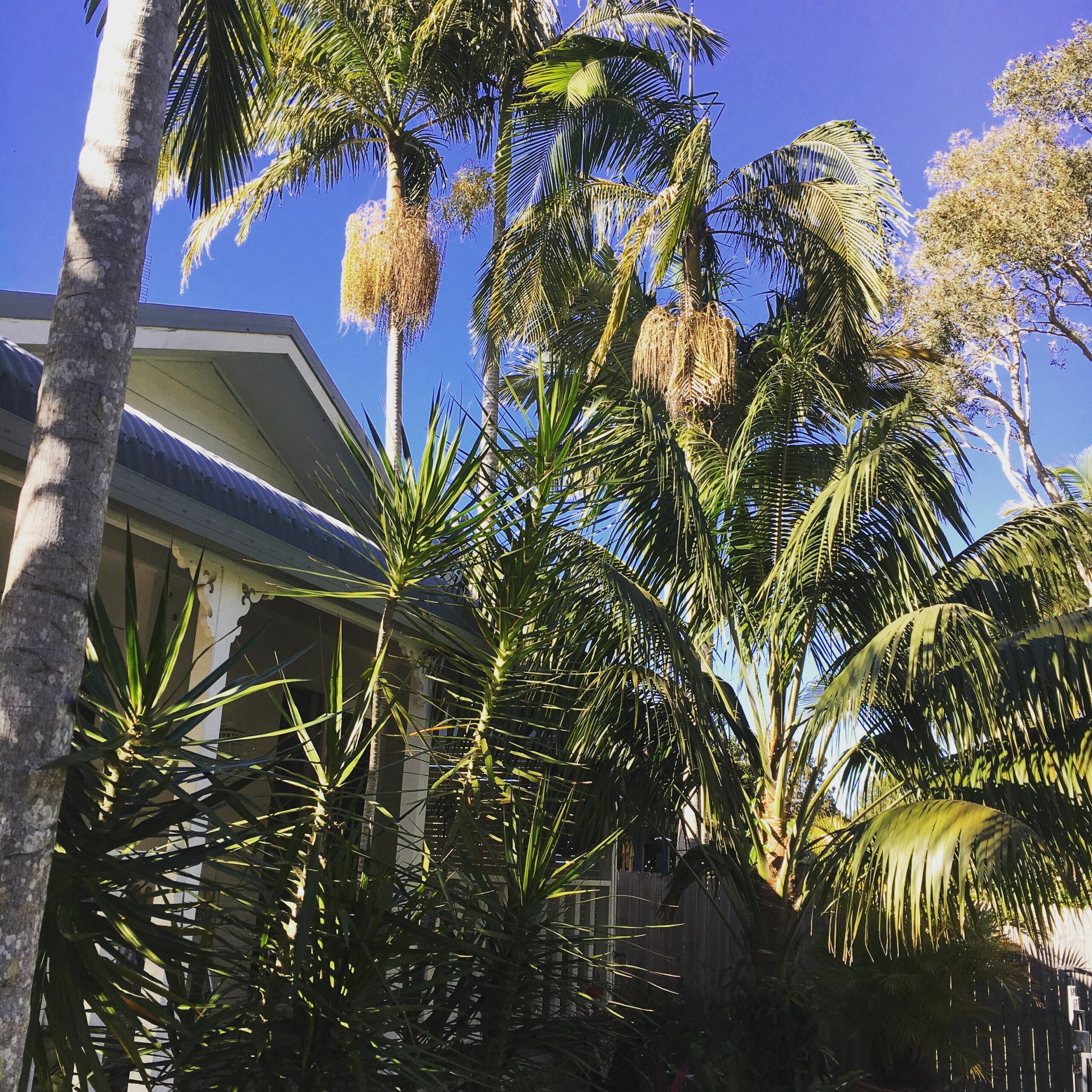 Glasgow on Tallow Byron Bay- Tranquil Beach Cottage- 600m Walk to Tallow Beach