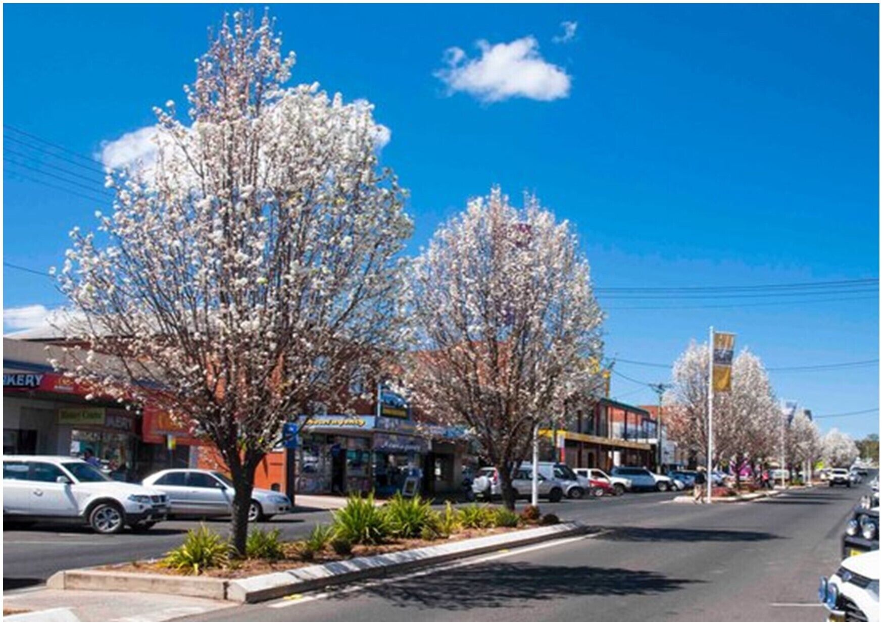 Cottage in Coonabarabran With pet Friendly Yard