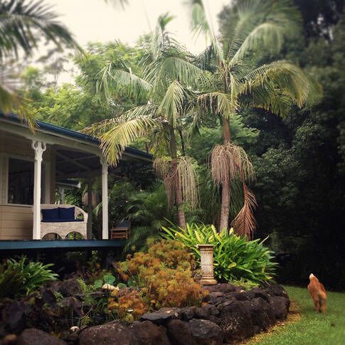 Valleydale Cottage - Byron Hinterland Escape