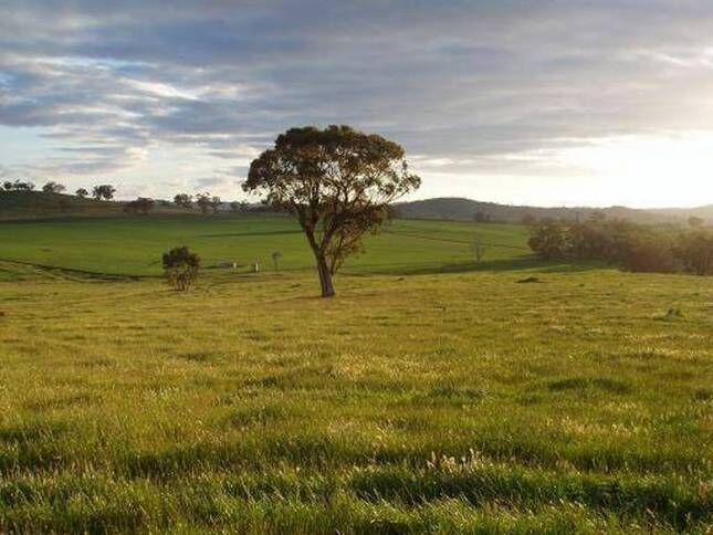 HILLVIEW HOMESTEAD MUDGEE