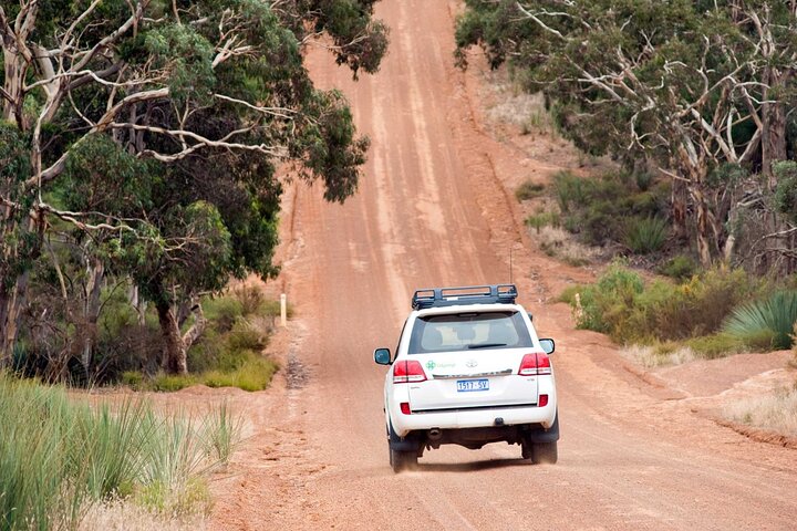 Full day Seal Bay Experience departing from Kangaroo Island