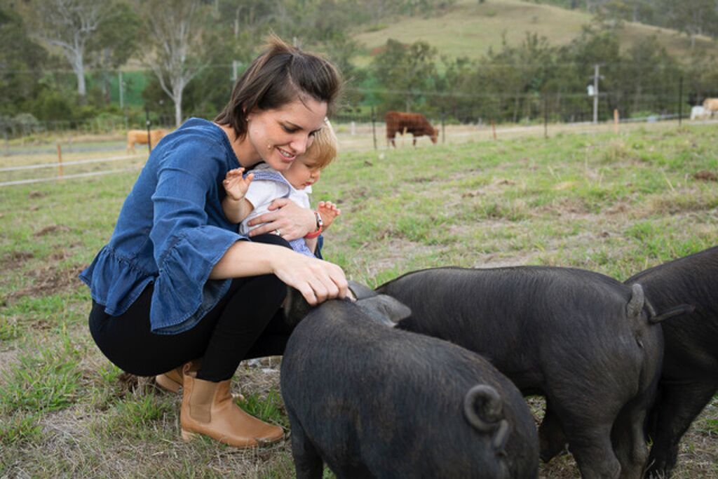 Darlington Grove Farm Stay in a Renovated Dairy Lots of Animals and River Access