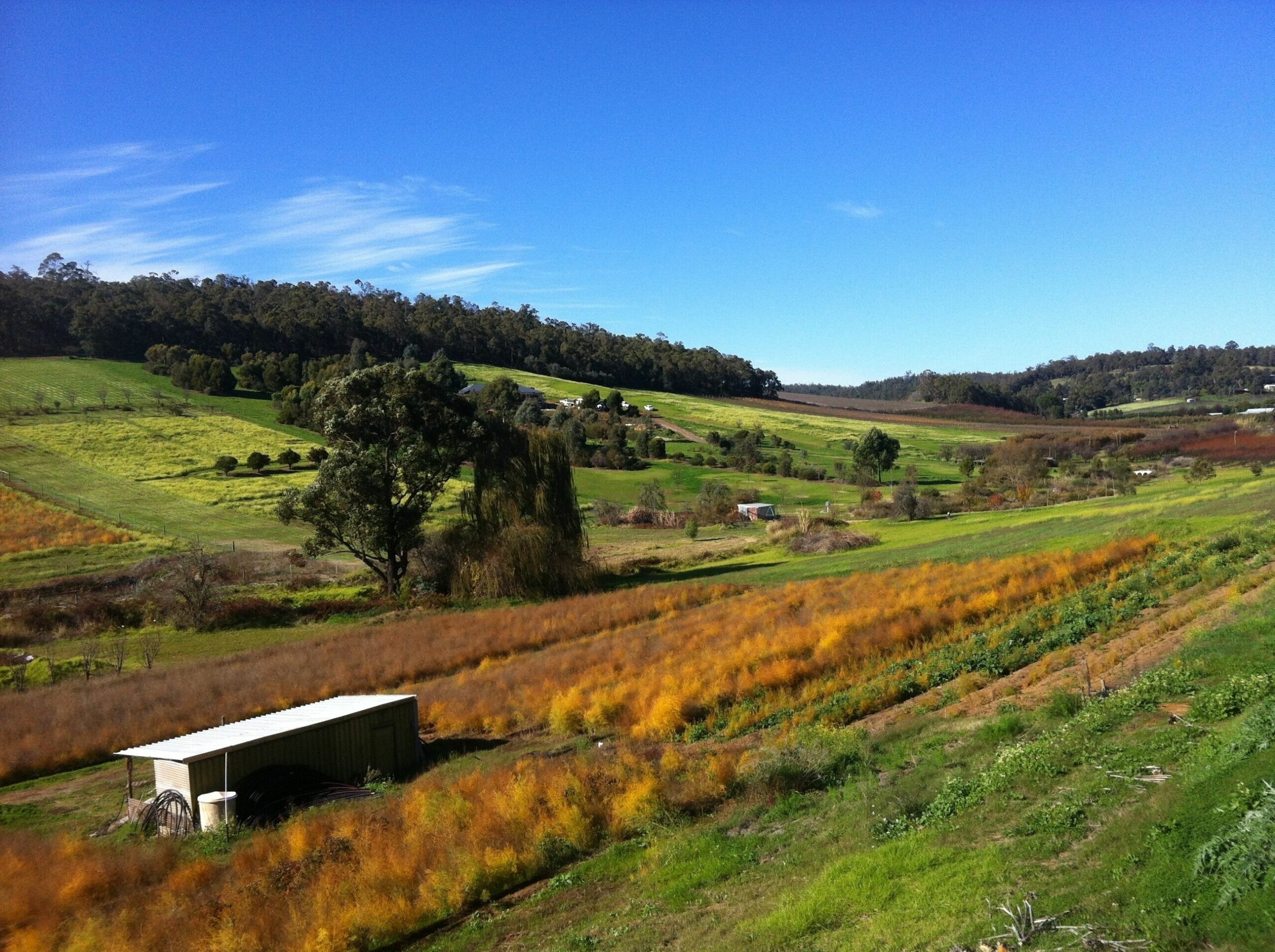 Bickley Valley Cottage