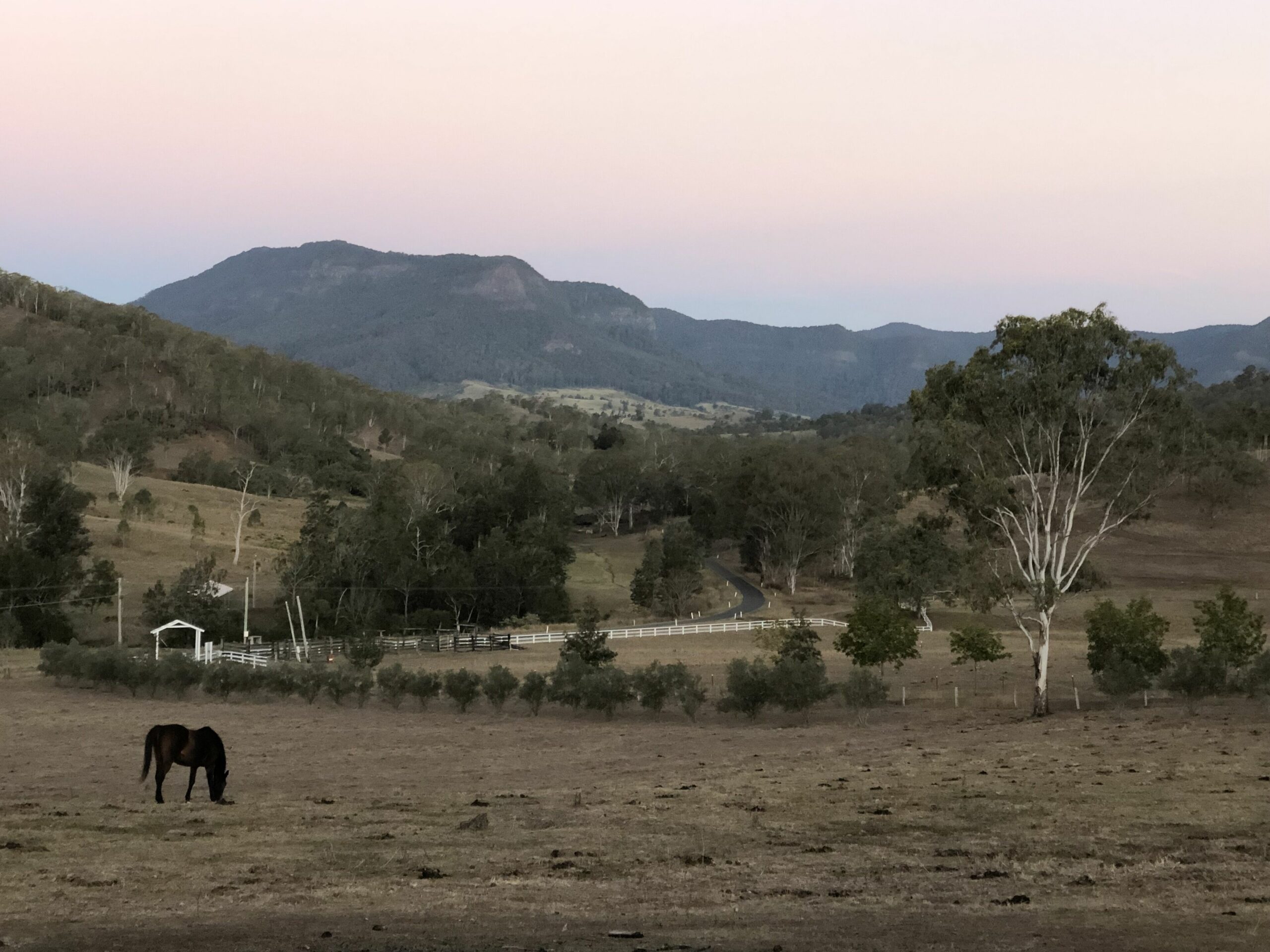 Darlington Grove Farm Stay in a Renovated Dairy Lots of Animals and River Access