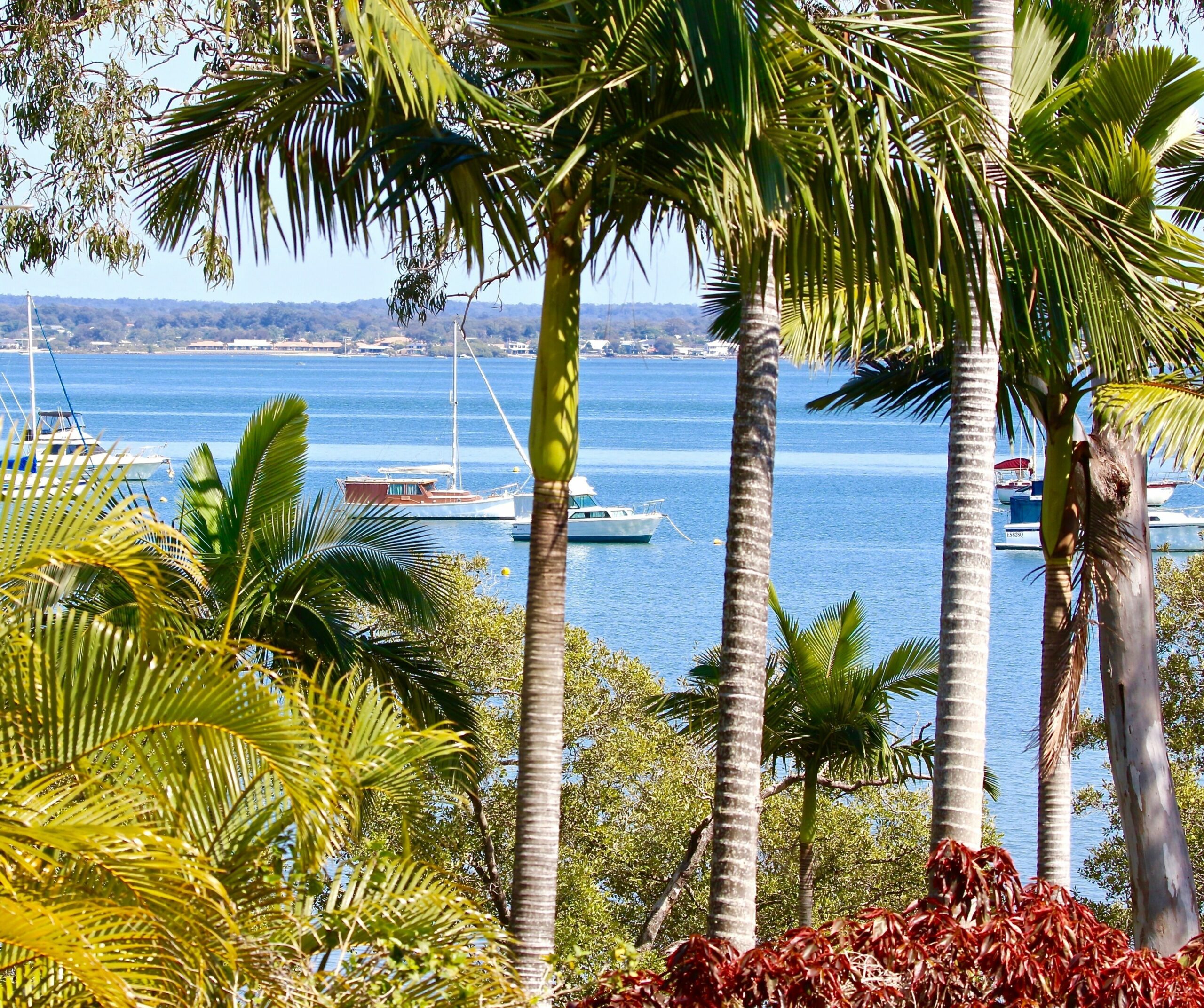 Peaceful Getaway on Southern Moreton Bay Islands - Bird Lovers Paradise