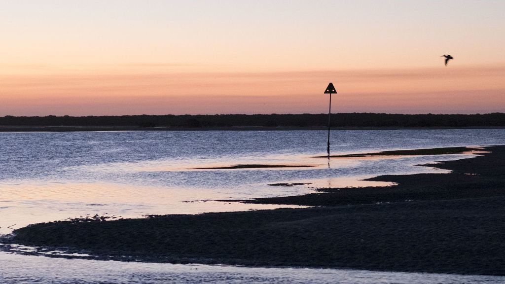 Tidelines on the Waterfront