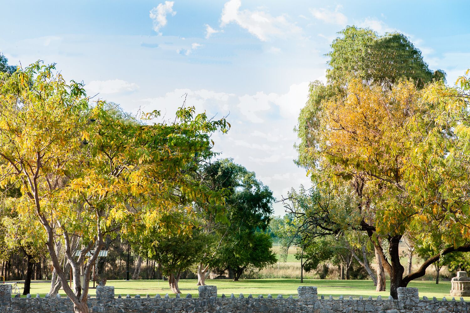 CAWARRA ON THE PARK - HISTORIC ELEGANT HOME GROUP ACCOMMODATION, HEART OF MUDGEE