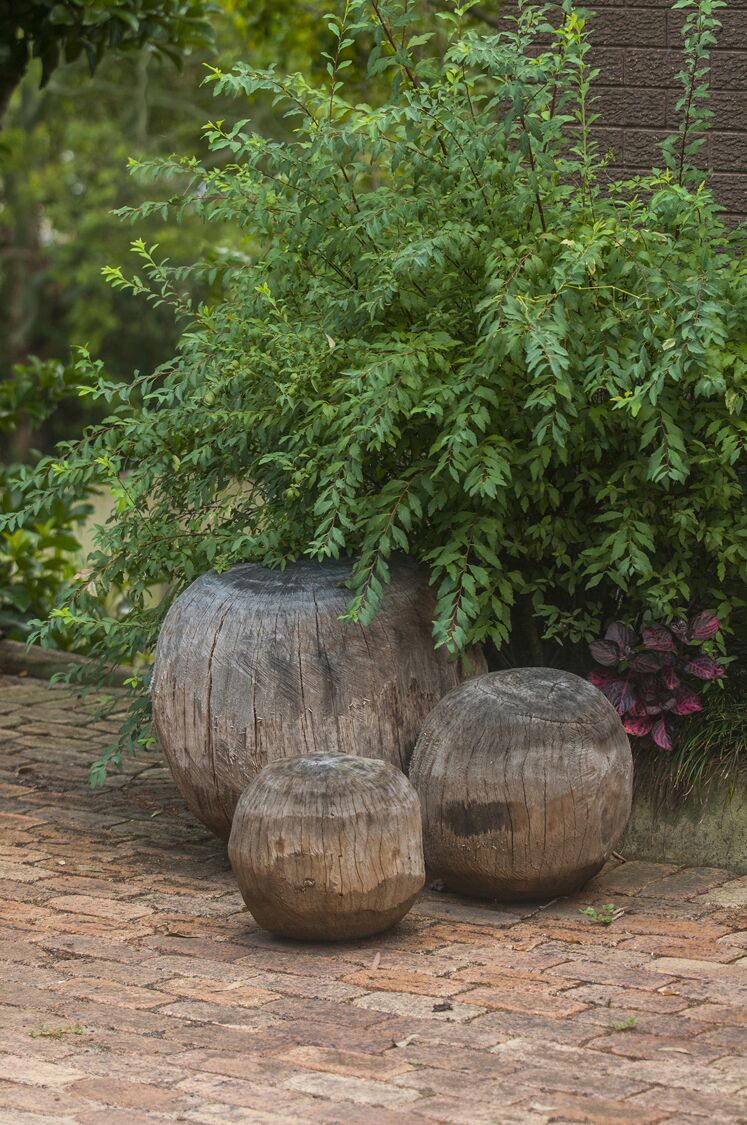 Studio in Prize Winning Garden on the Edge of The Great Dividing Range