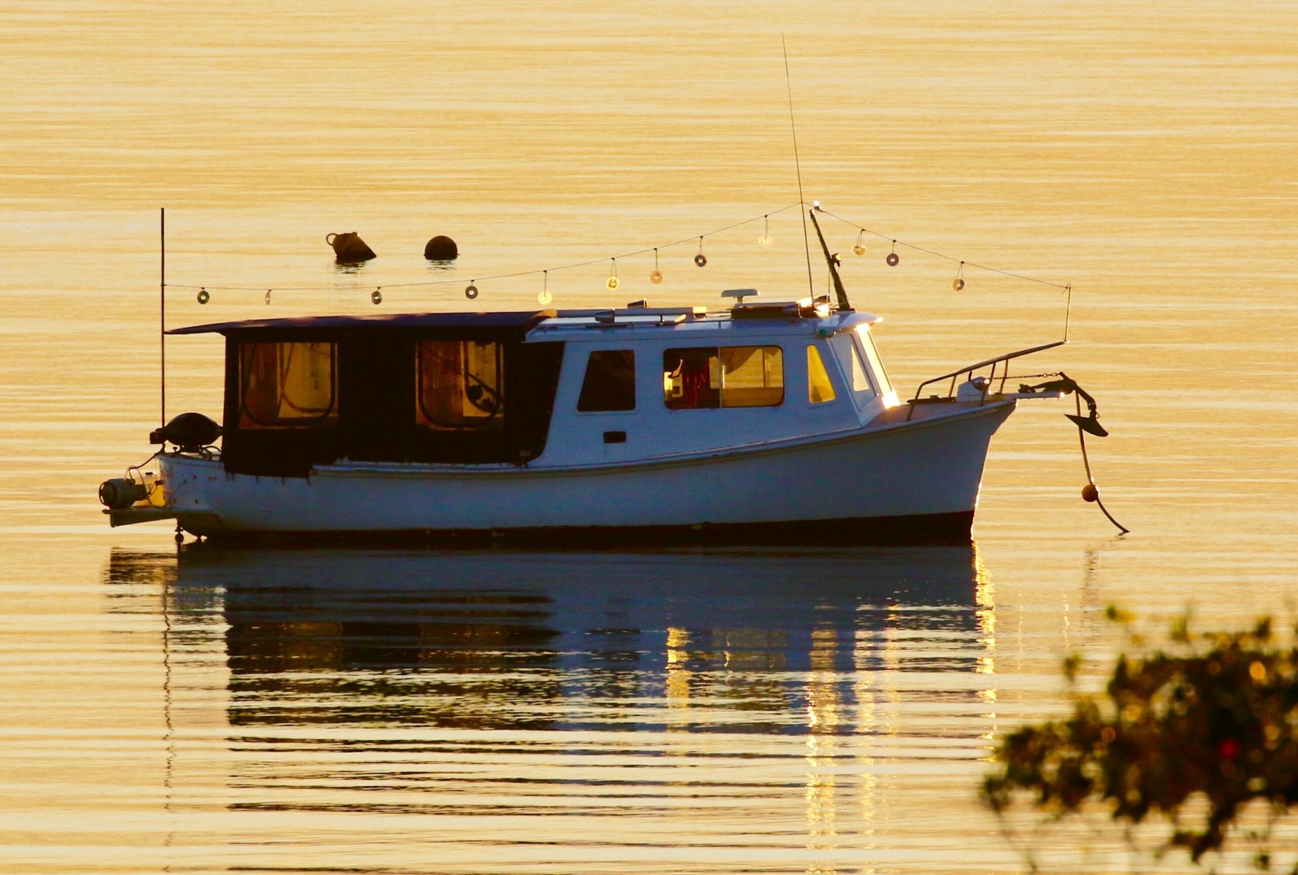 Peaceful Getaway on Southern Moreton Bay Islands - Bird Lovers Paradise