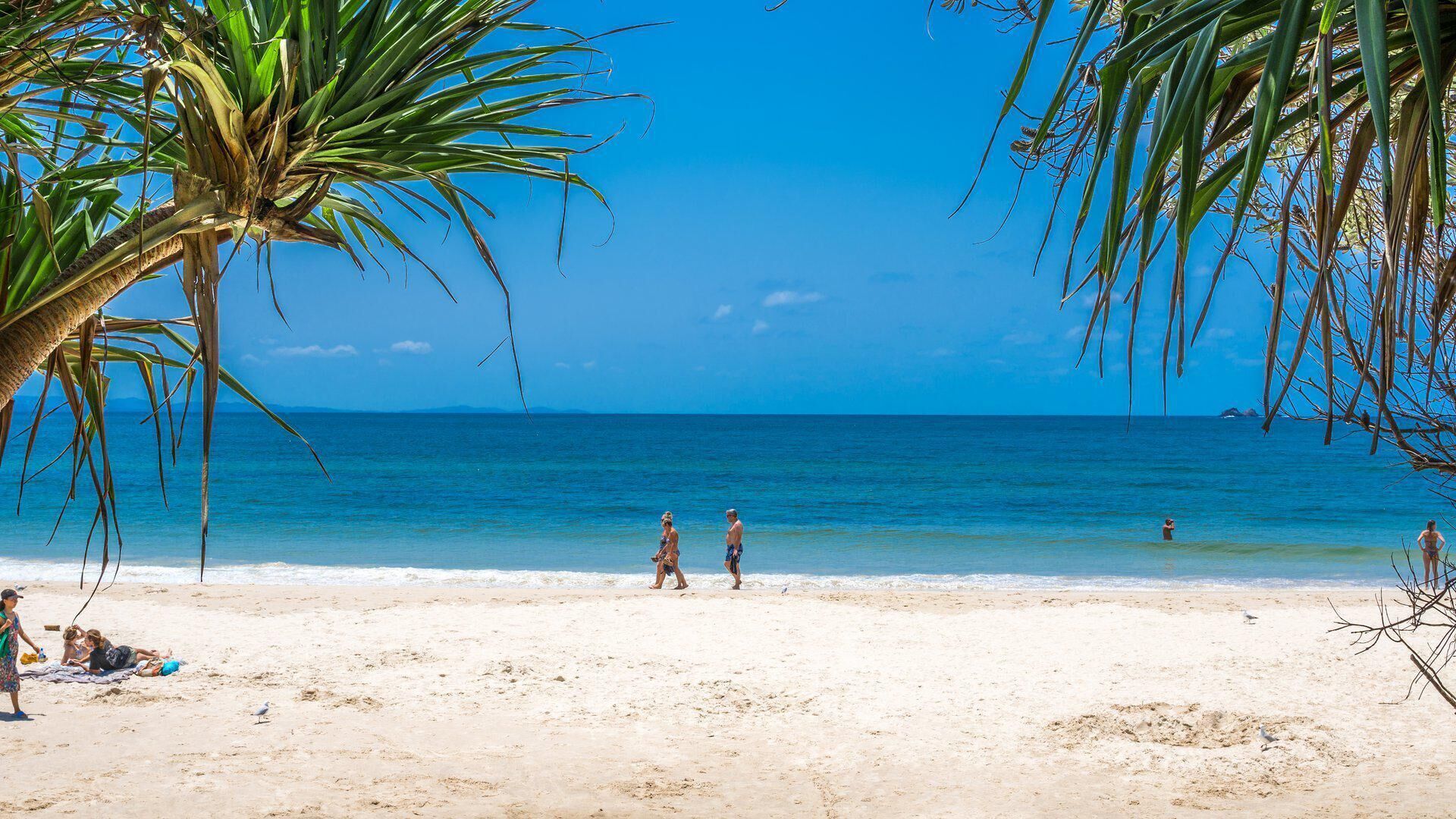 Calinda Sol 12 - Byron Beachside Perfection.... Best Location!