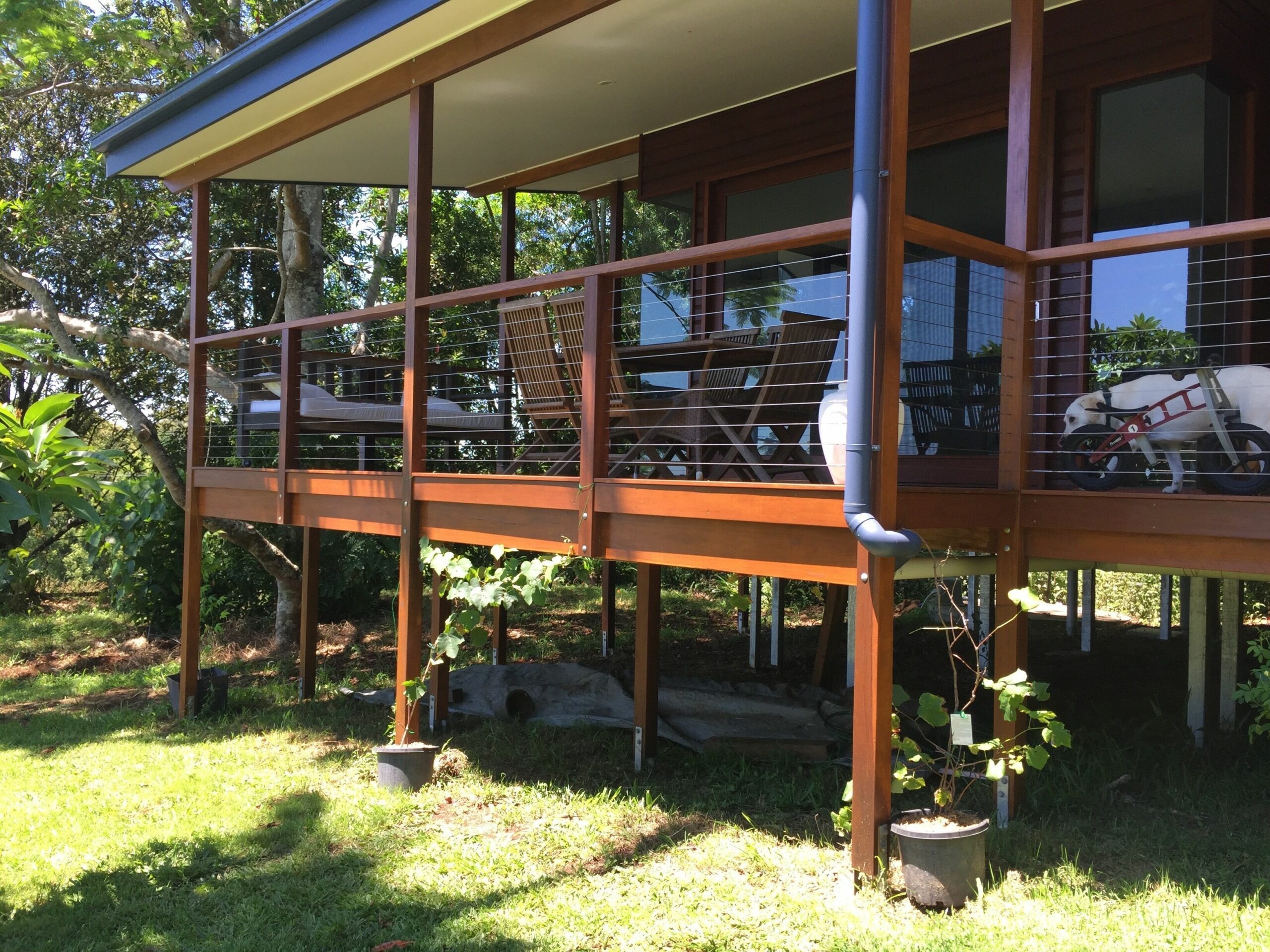 Goonengerry Cottage - beautiful rural and coastal views.