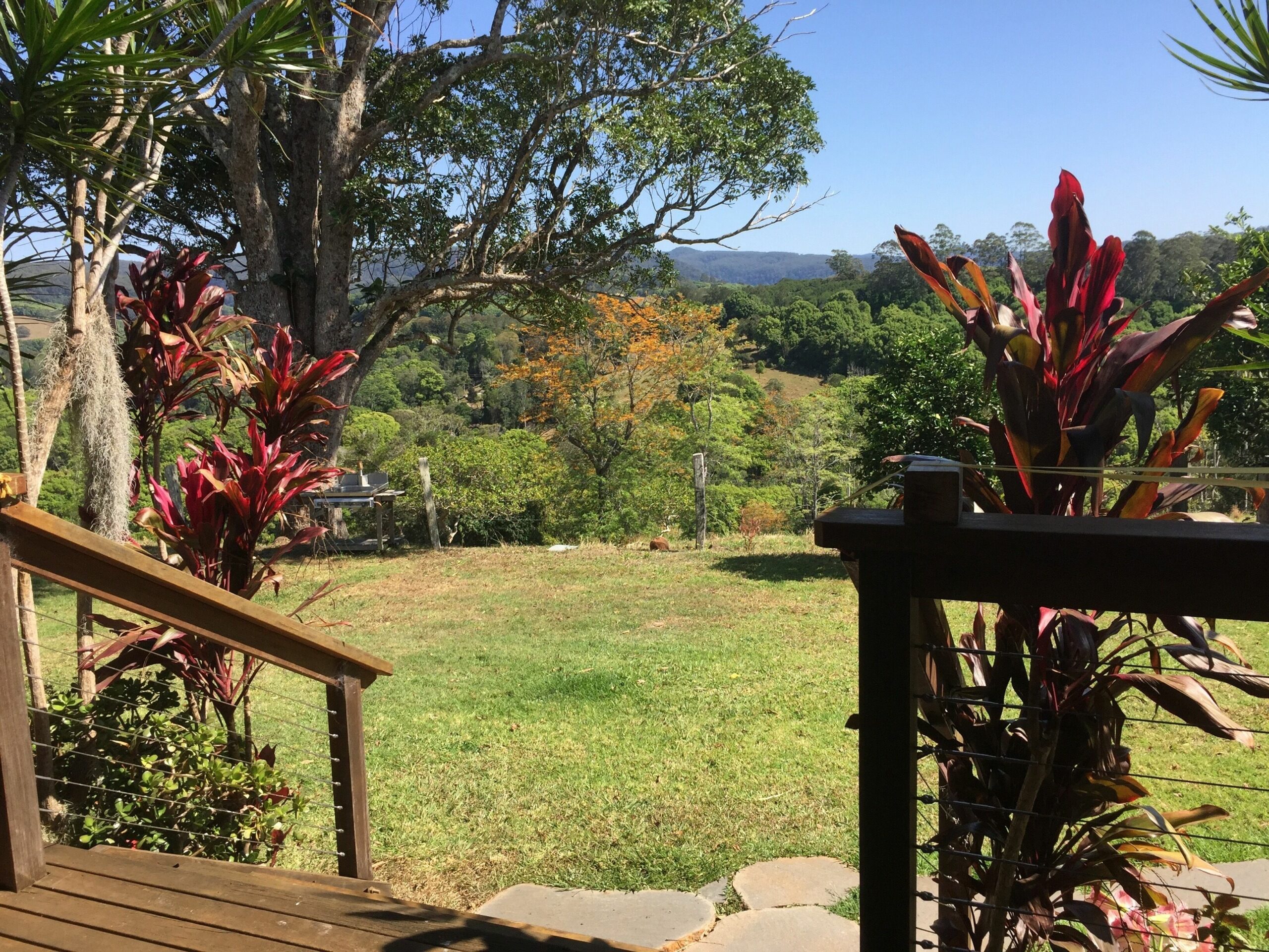 Byron Hinterland Farm Cottage on Cattle property