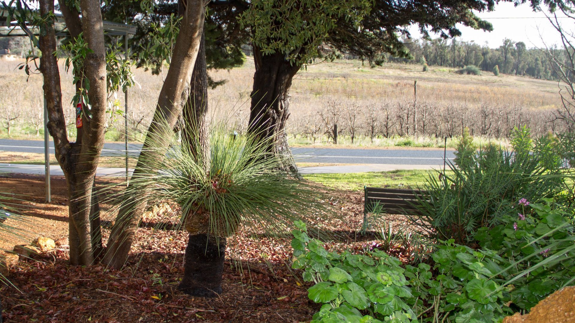 Farview Guest Accommodation