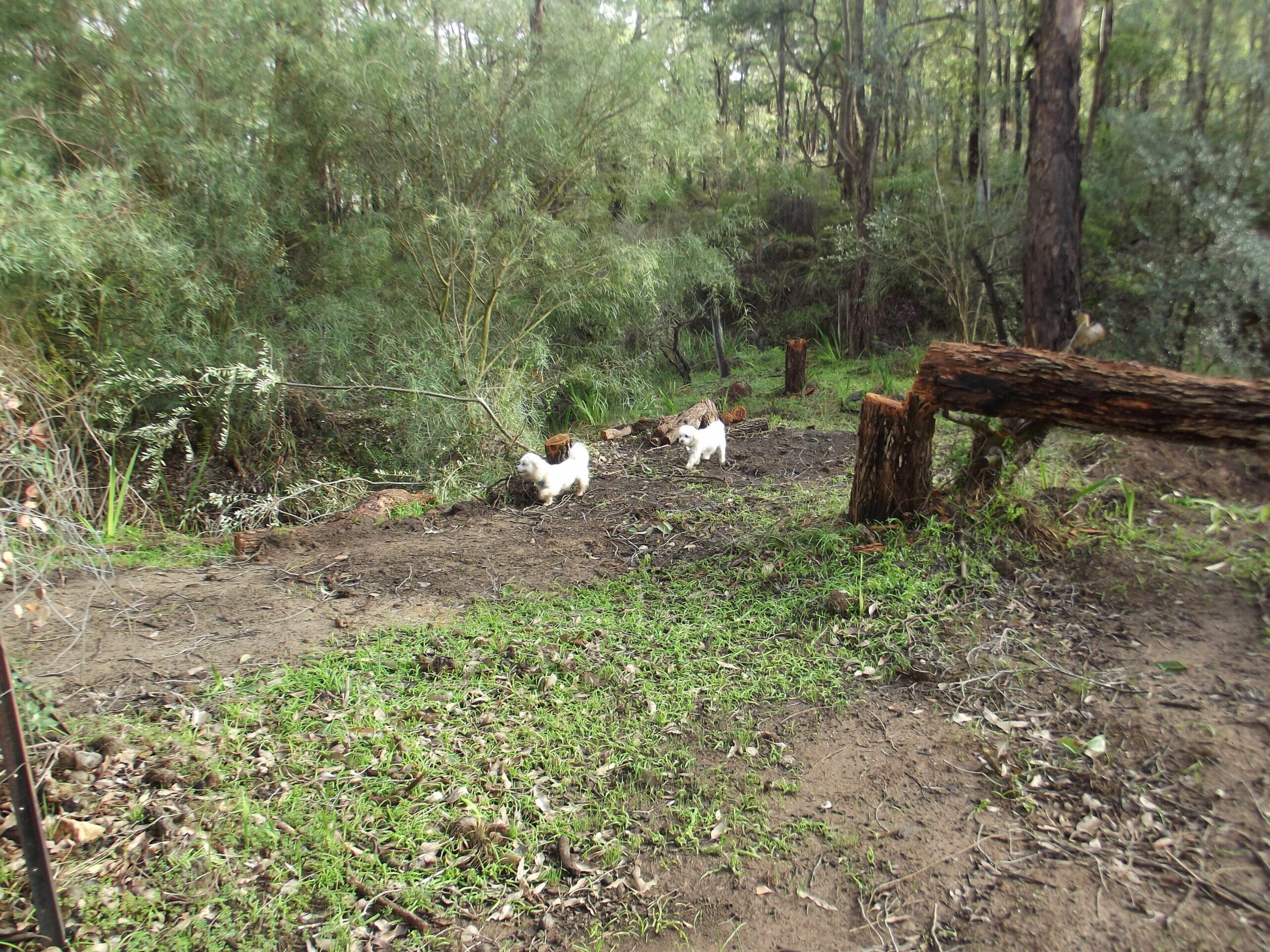 Escape in This dog Friendly Self-contained Luxurious 2 Storey Cottage