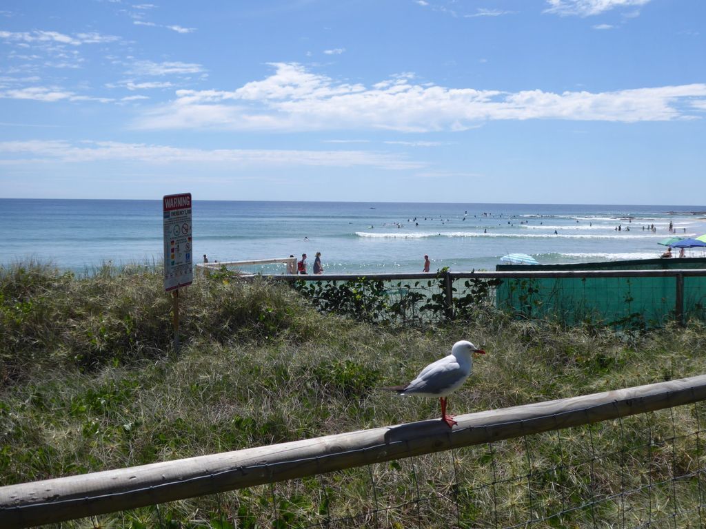 Rainbow Pacific Unit 2- Beachfront unit right on Rainbow Bay Beach in Coolangatta