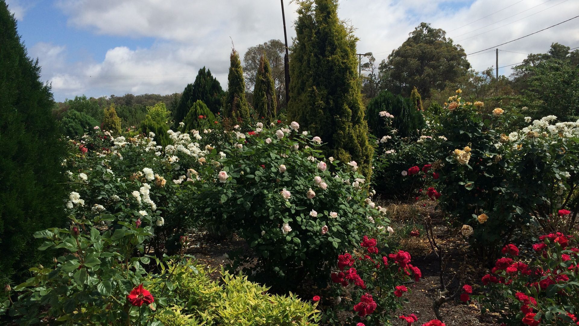 Spectacular Stanthorpe Villa