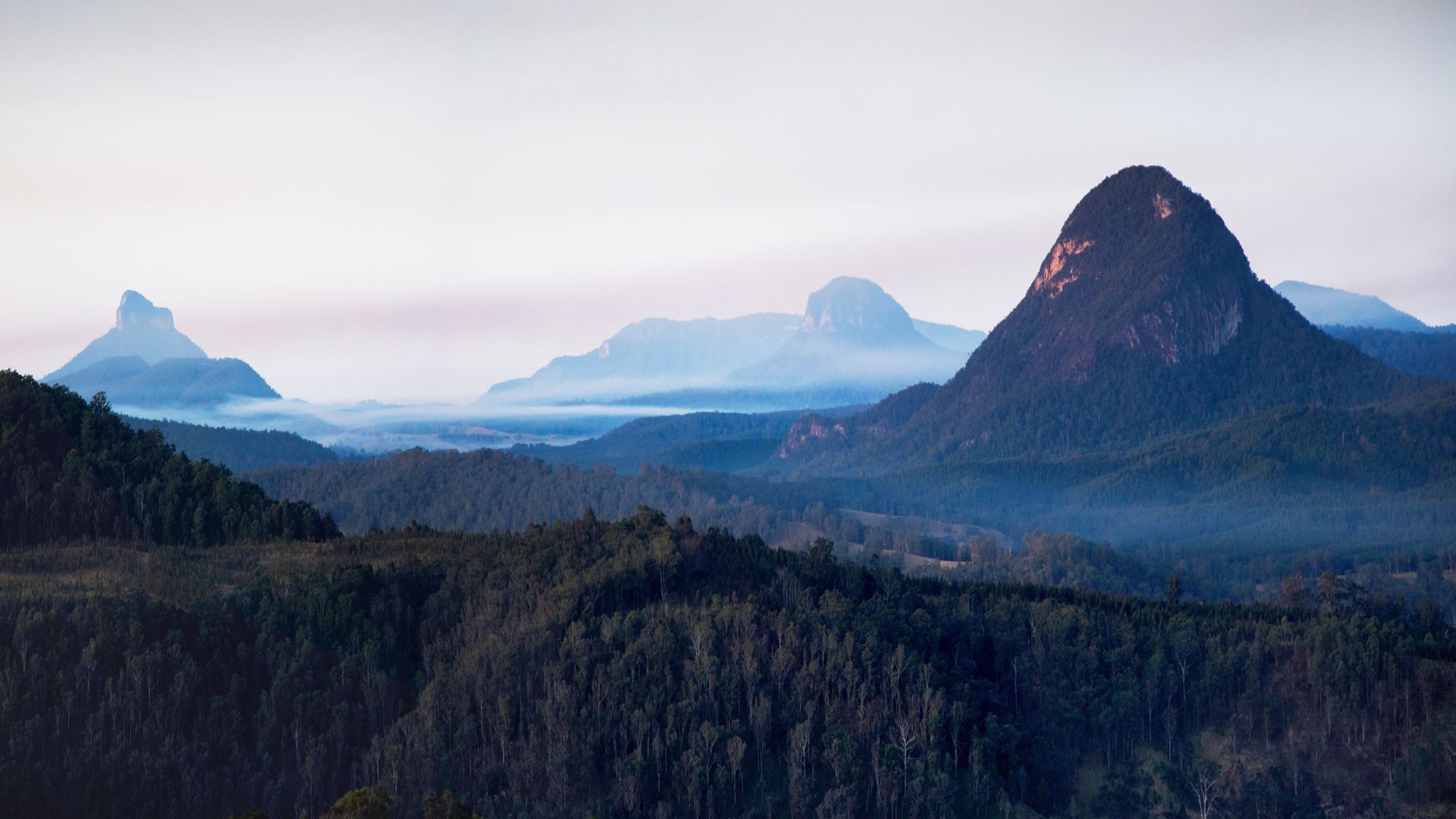 Tooloom Homestead - High Country Escape