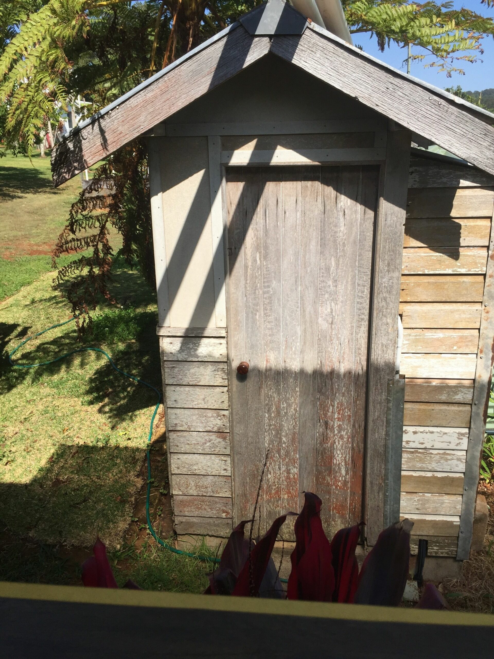 Byron Hinterland Farm Cottage on Cattle property