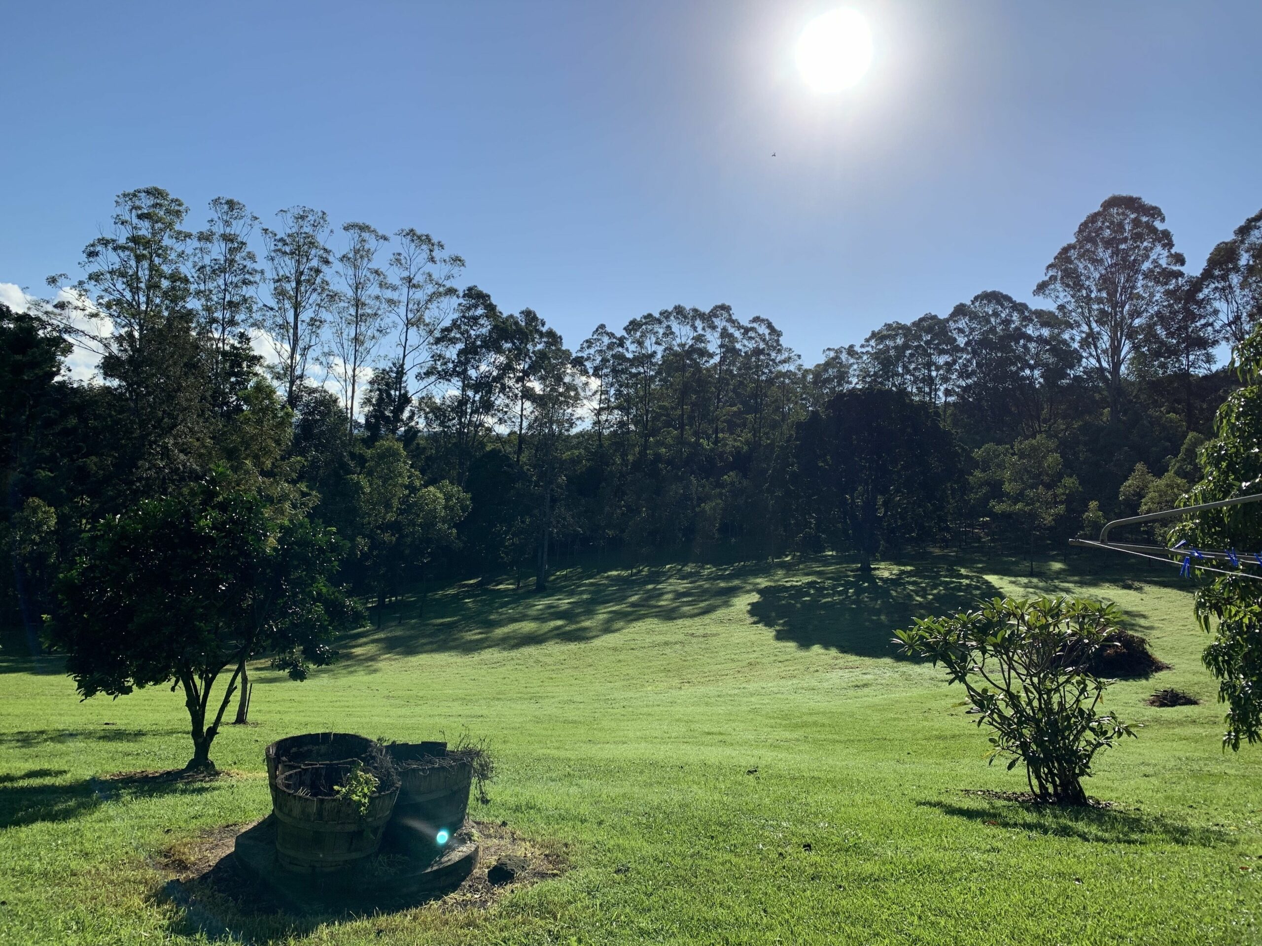 Nightcap Park, Beautiful Byron Bay Hinterland