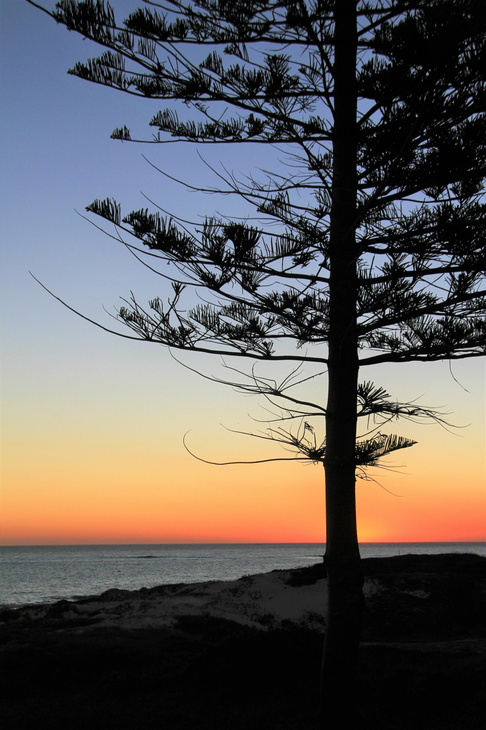 Beautiful Ledge Point Beachfront Home  - no roads to cross