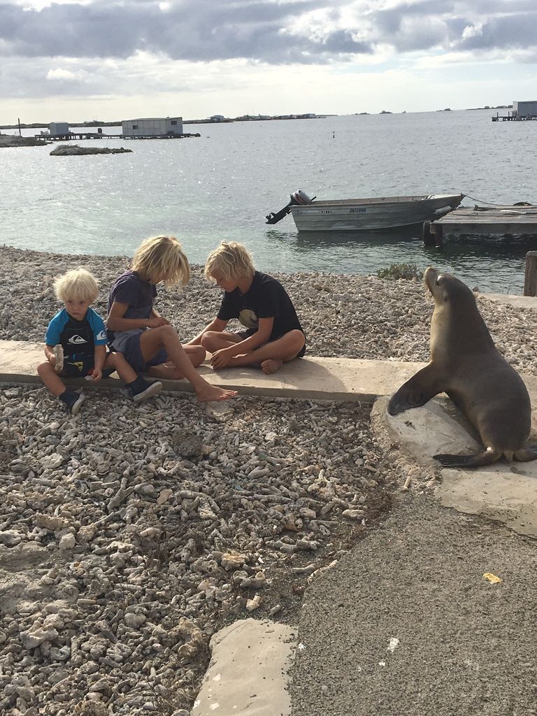 Abrolhos Island Accommodation