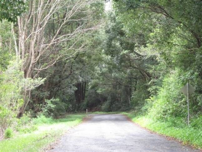 The Tin Shed Byron Bay Hinterland