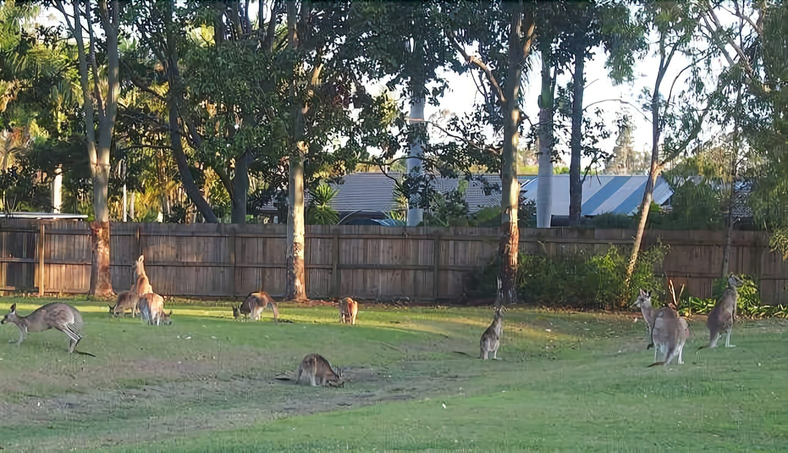 Caboolture 4.5 Star Holiday Home at the Gateway to the Sunshine Coast in Qld