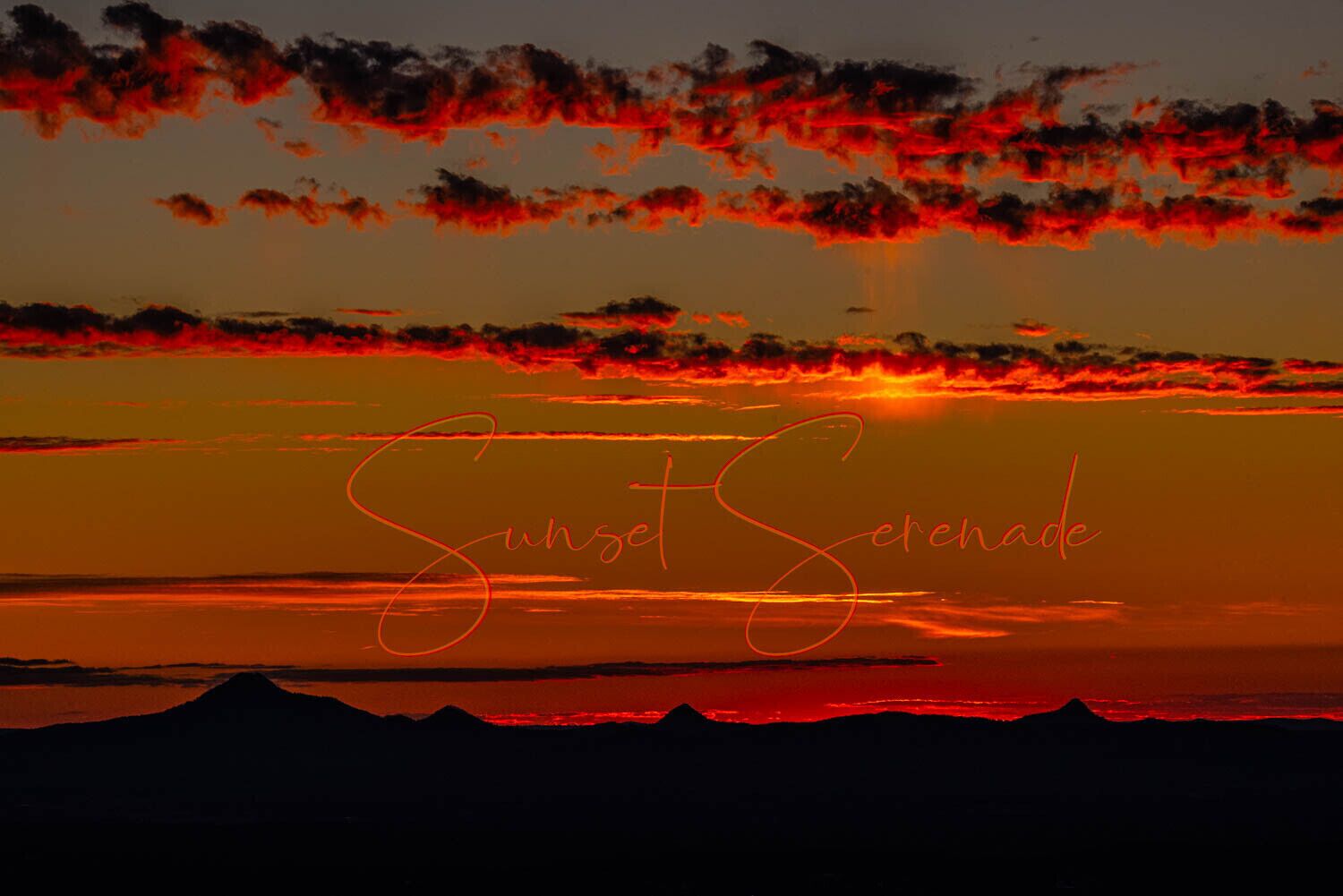 Sunset Serenade, Self Contained Studio, Tambourine Mountain. Lgbt Welcome