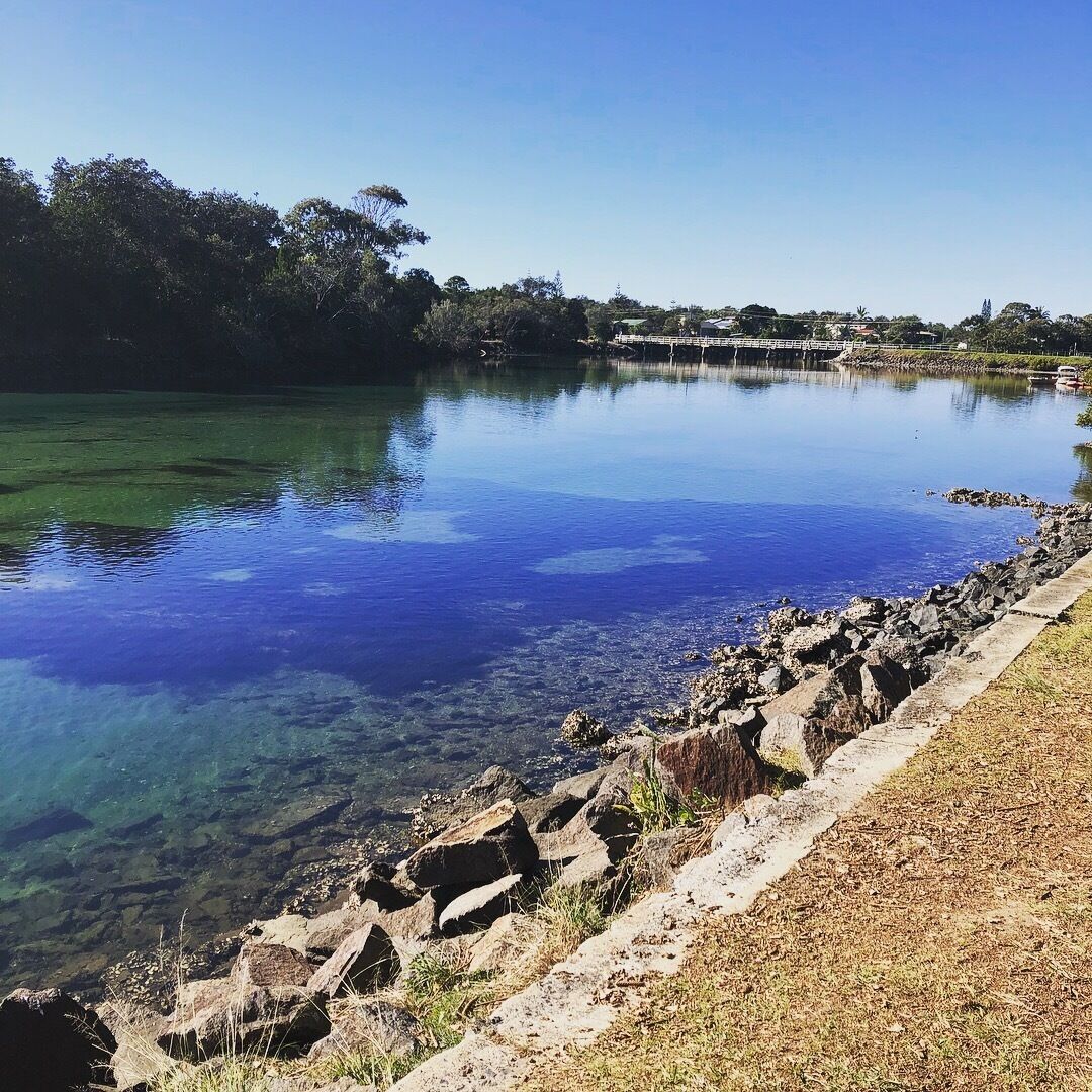 Carmel by the Sea is dog Friendly in Brunswick Heads