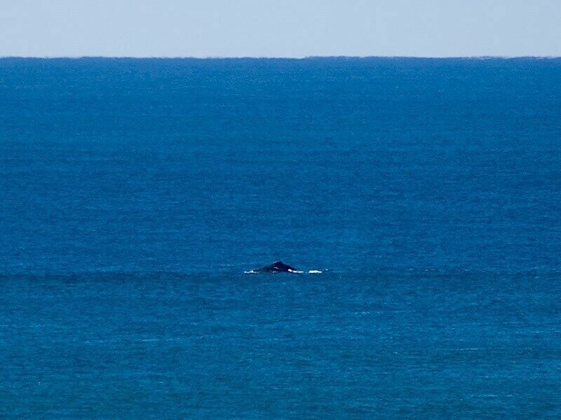 Broadleys at Stradbroke Island, Wifi, Views, Dogfriendly