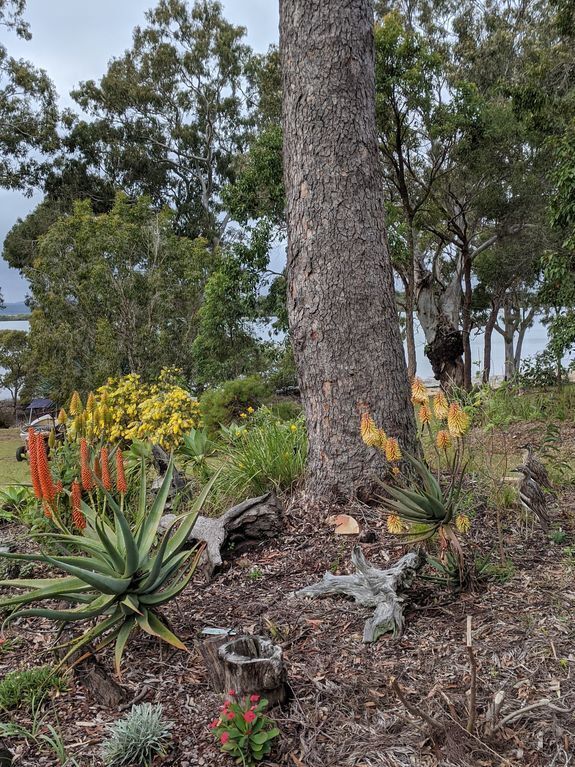 Macleay Island Luxurious Beachfront Apartment, Pool, Canoe, Bikes, Fishing, Golf