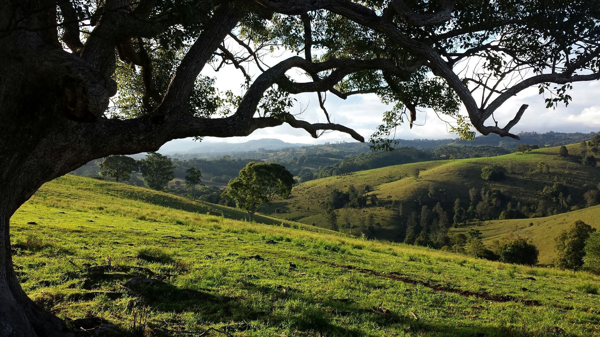 Nightcap Cottage - glorious view over farmland to hills