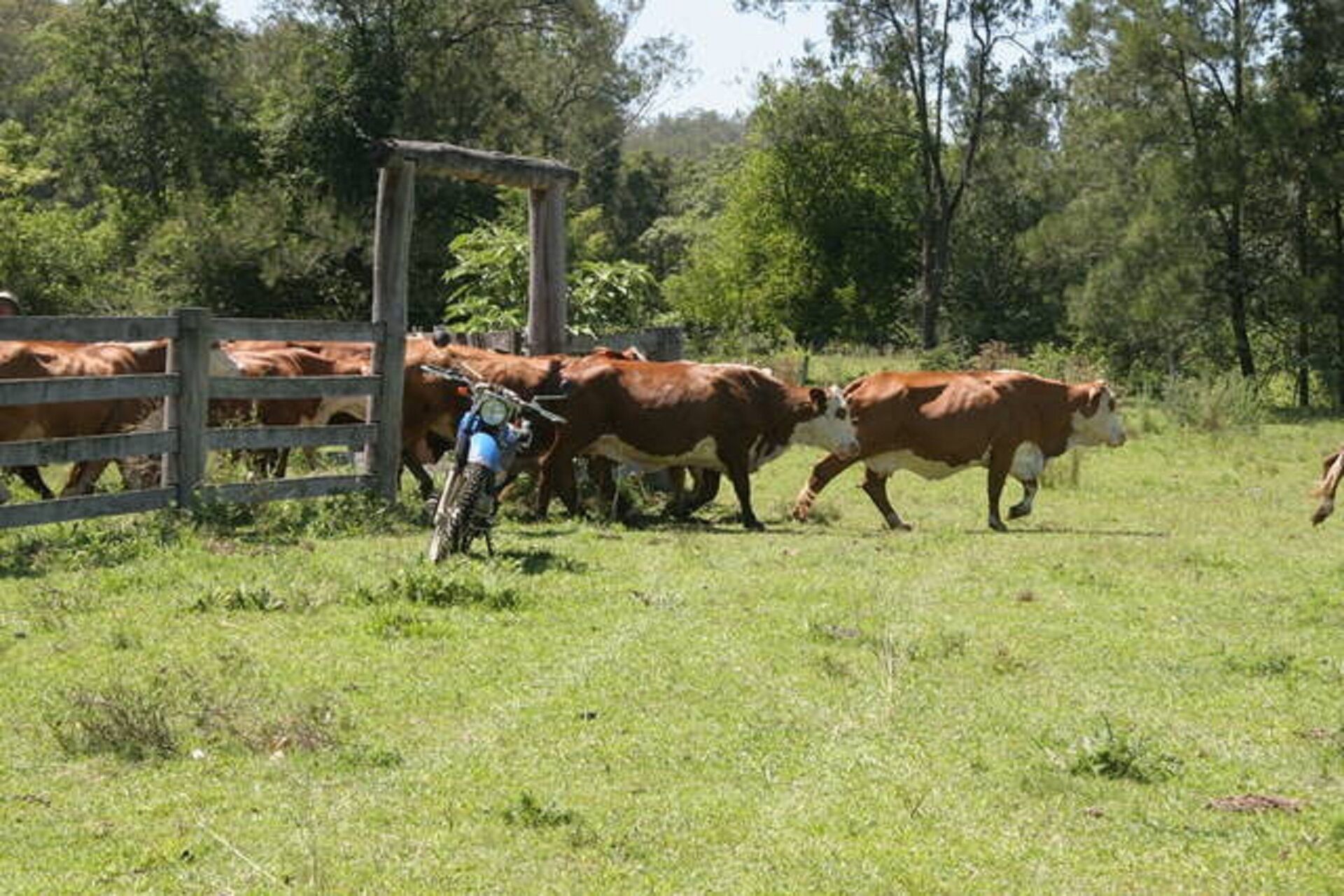 *Terranora Homestead*