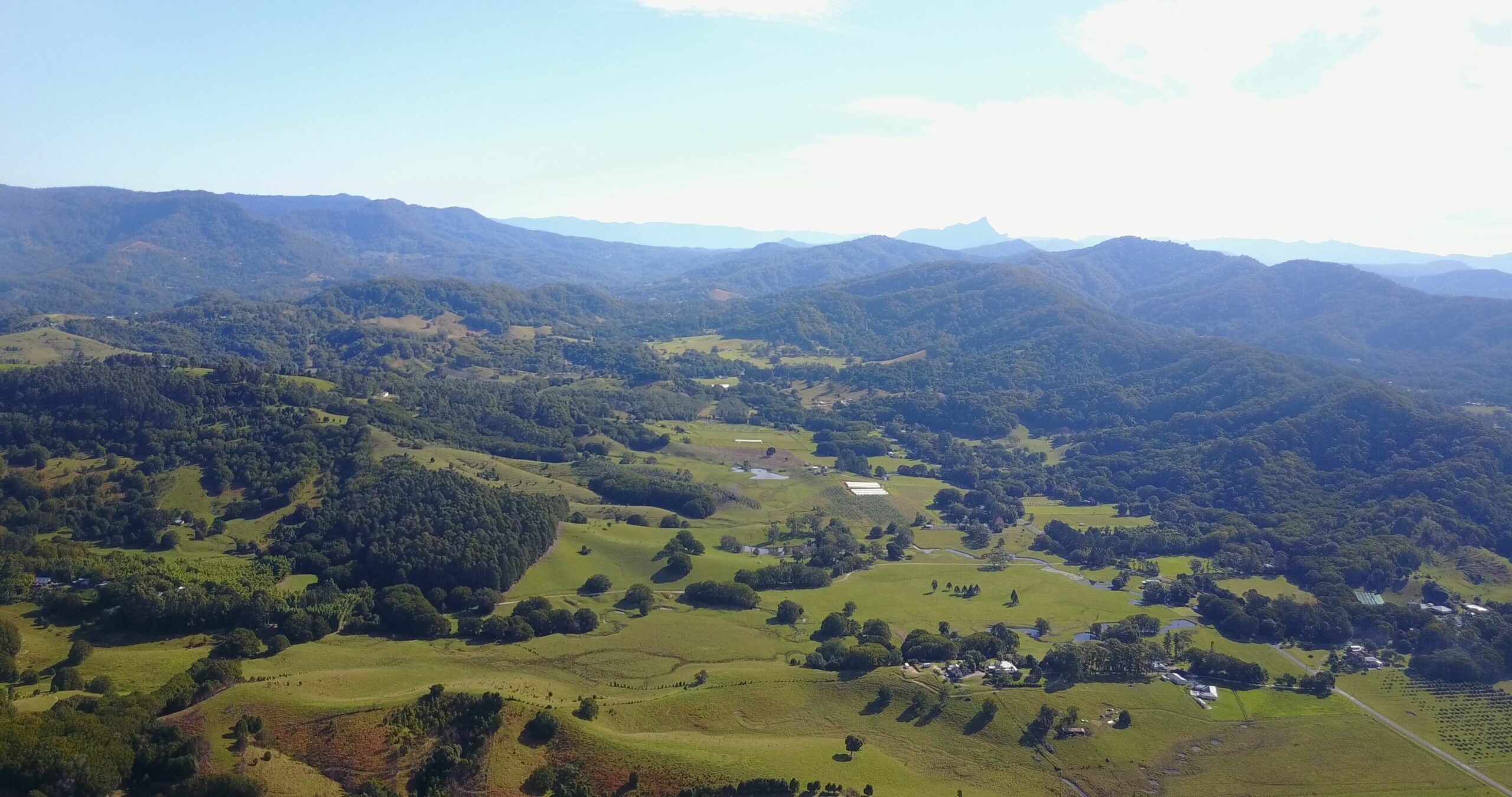 POCKET PINES @ THE POCKET in the Byron Bay Region