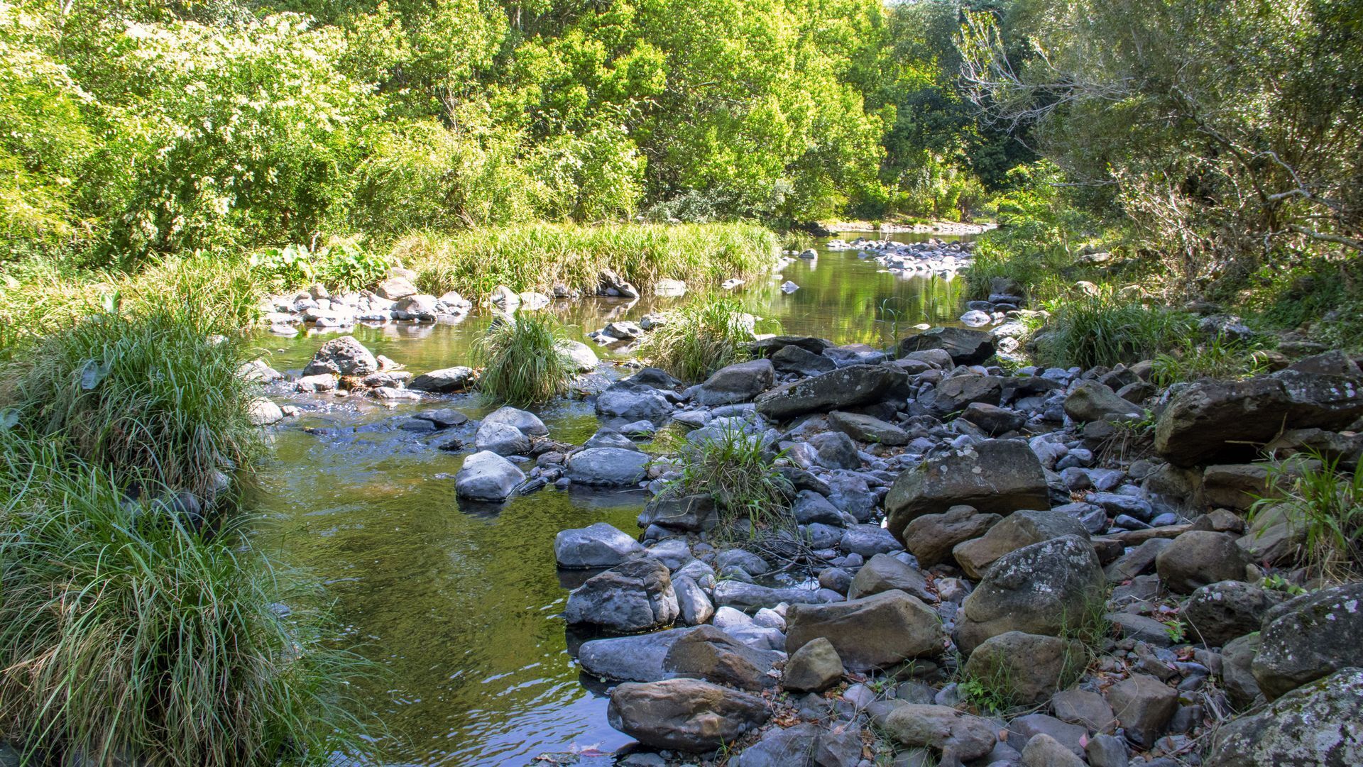 Tallaringa Views - Located at Byron Bay Hinterland