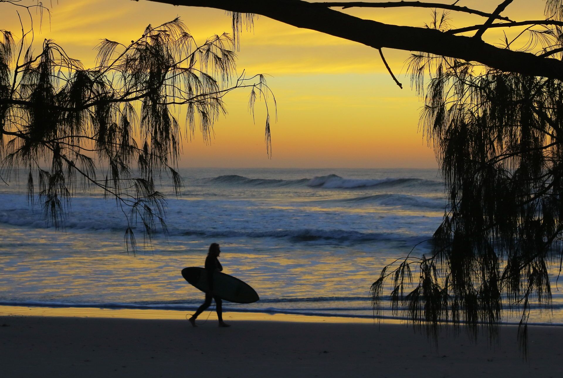 Cabarita Beach - Norries Headland