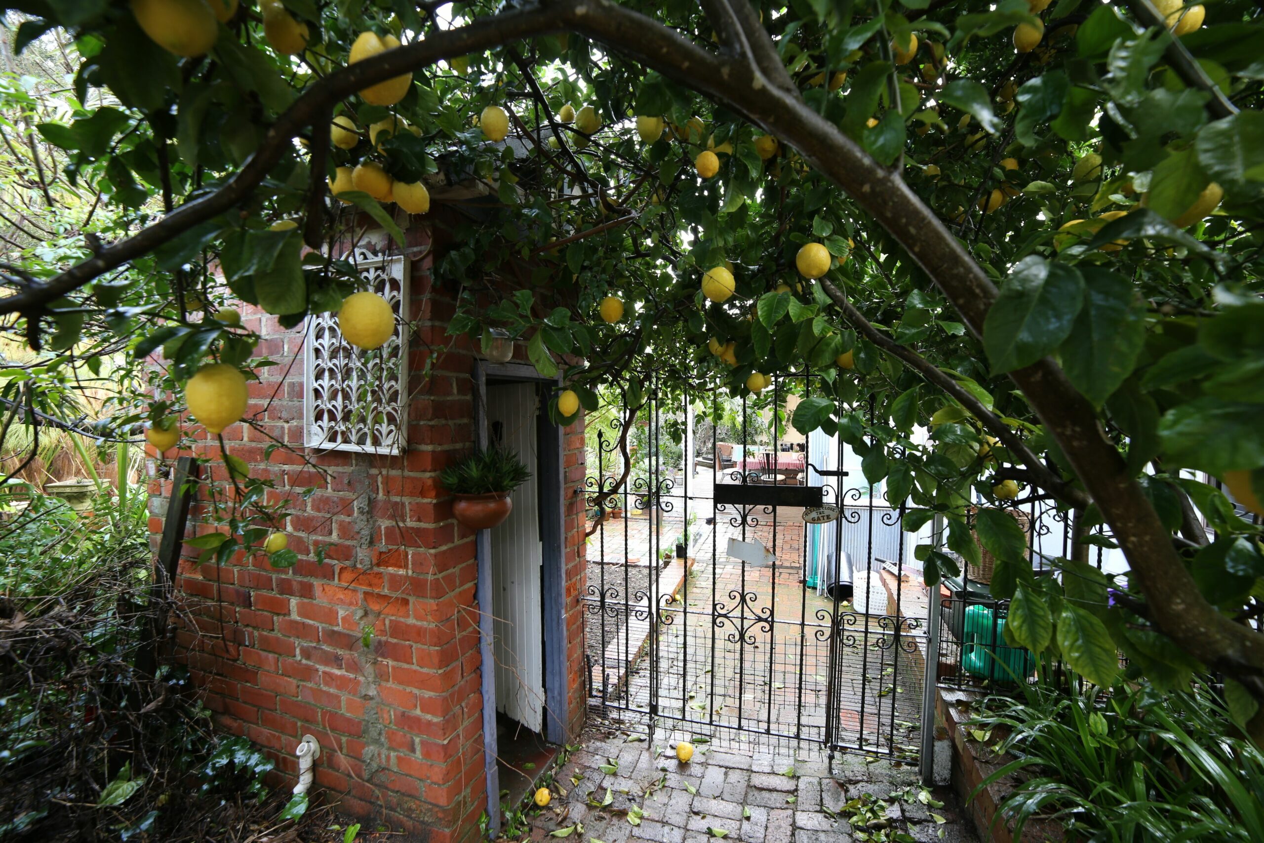 Pippin Patch, Perth Hills Cottage